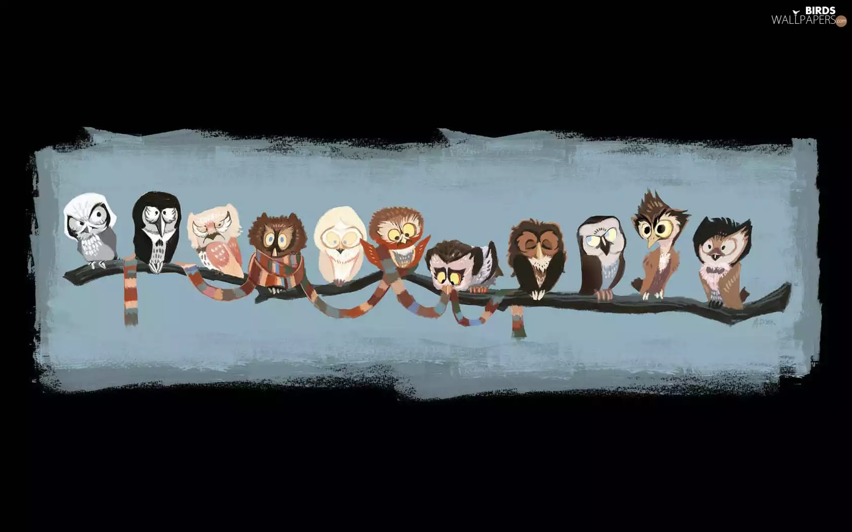 graphics, Owl, folks