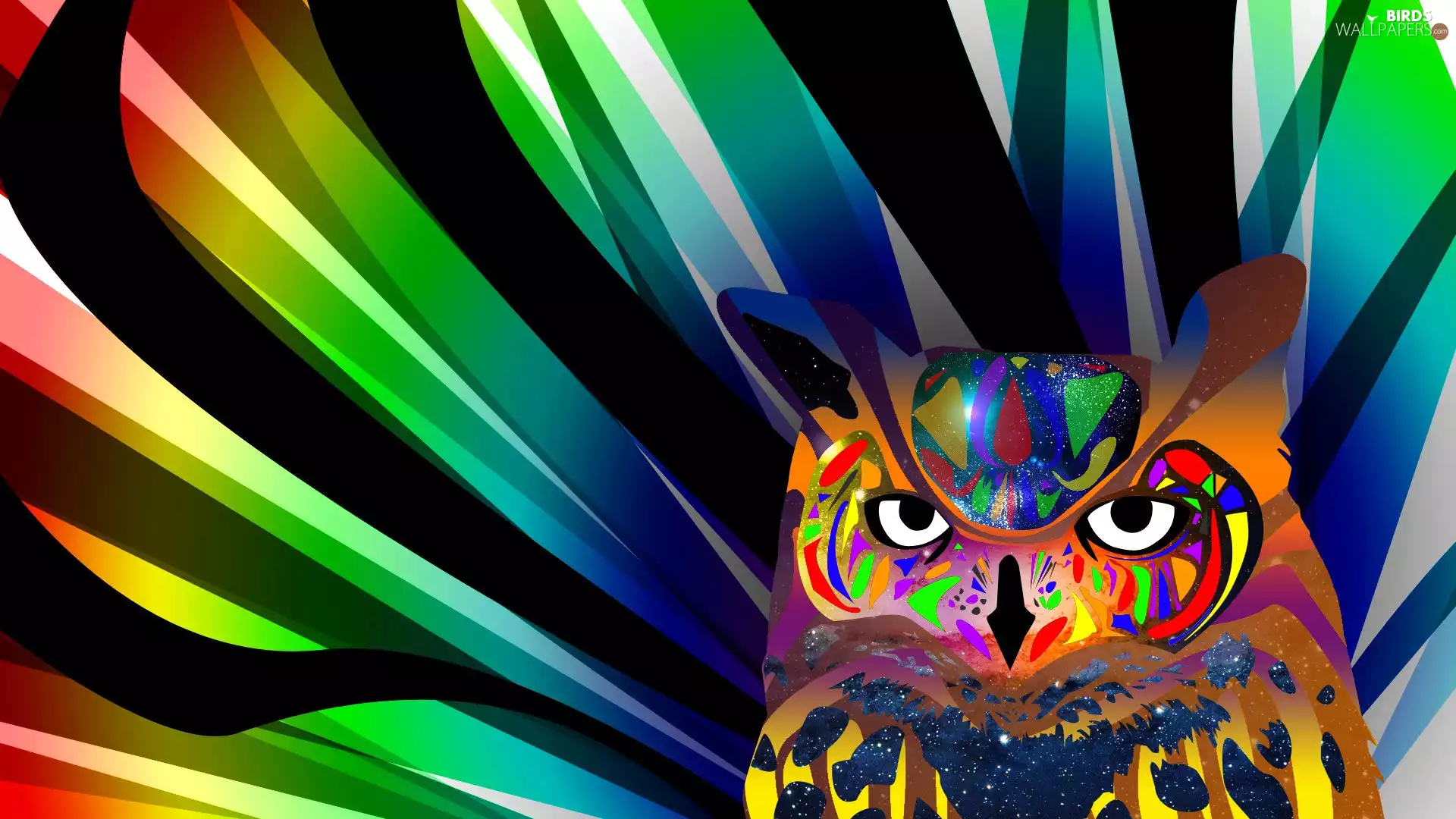 graphics, Coloured, owl