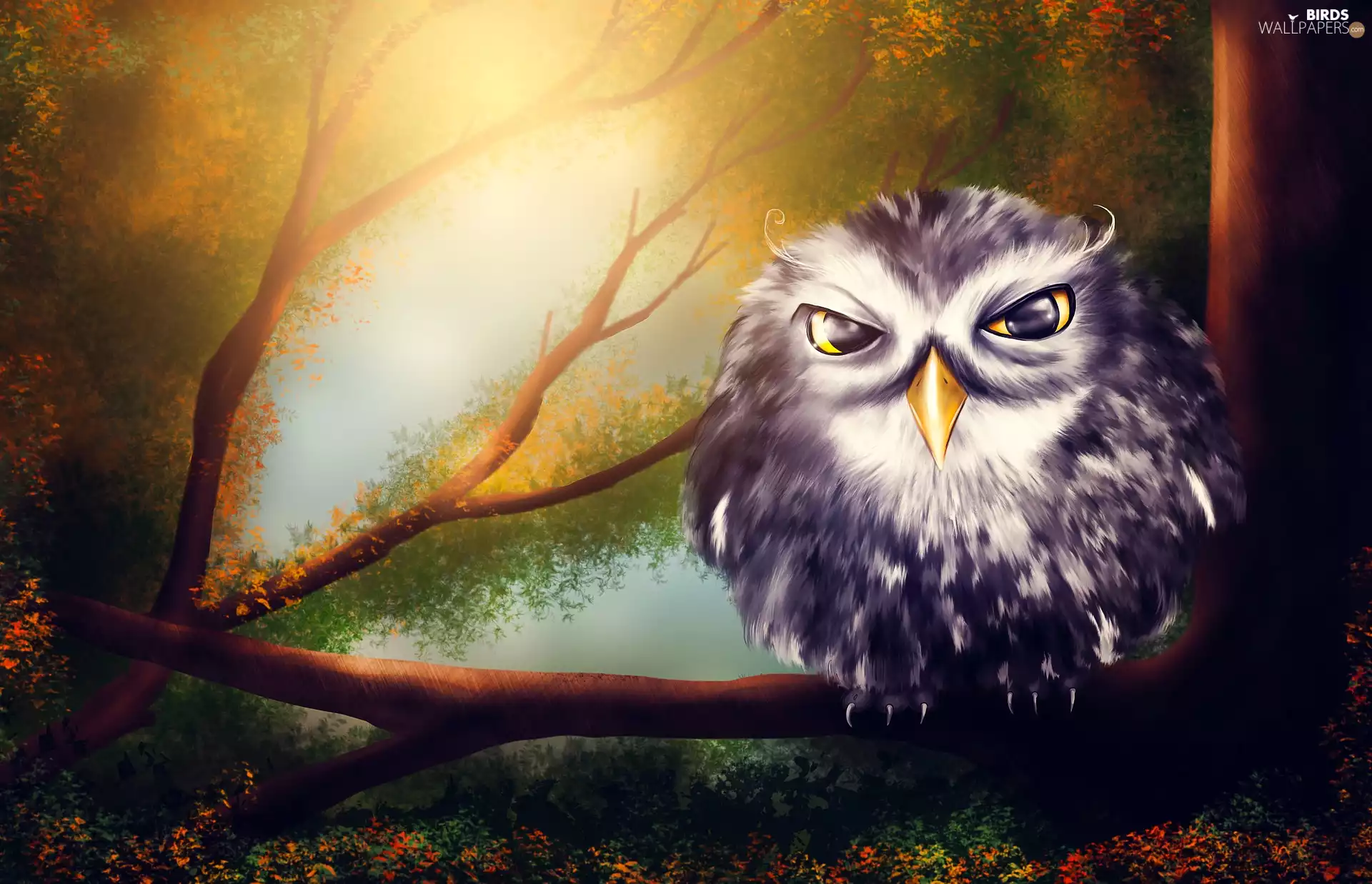 2D Graphics, owl, branch pics