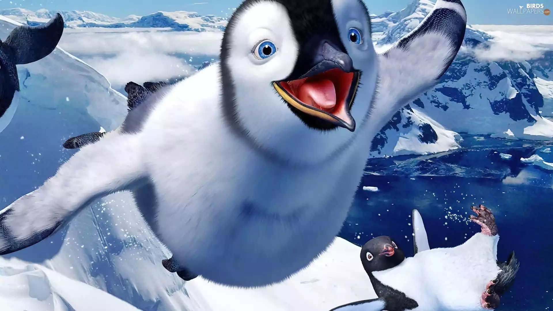 graphics, honeyed, penguin