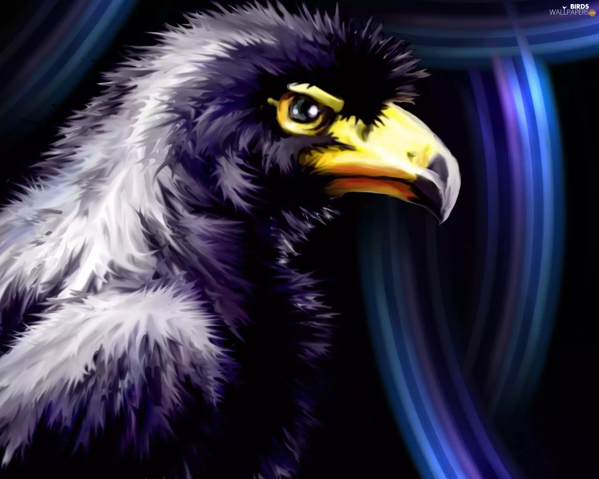 graphics, eagle, purple