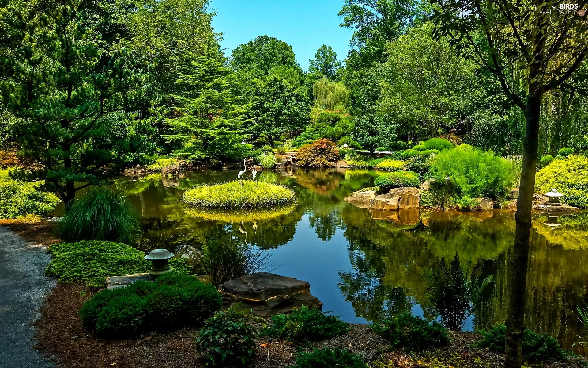 Park, green, cranes, Pond - car