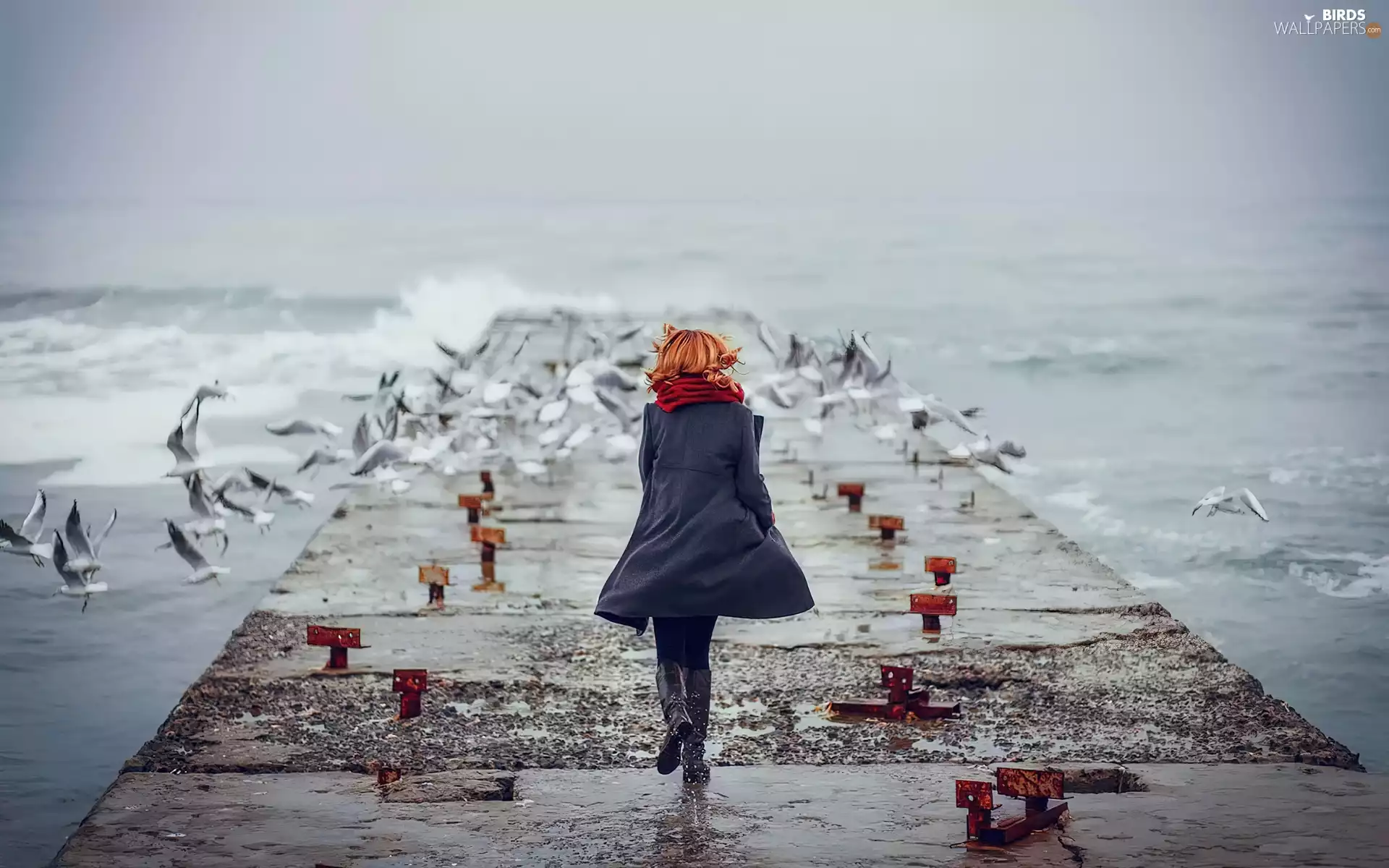 Wind, gulls, sea, Platform, redhead