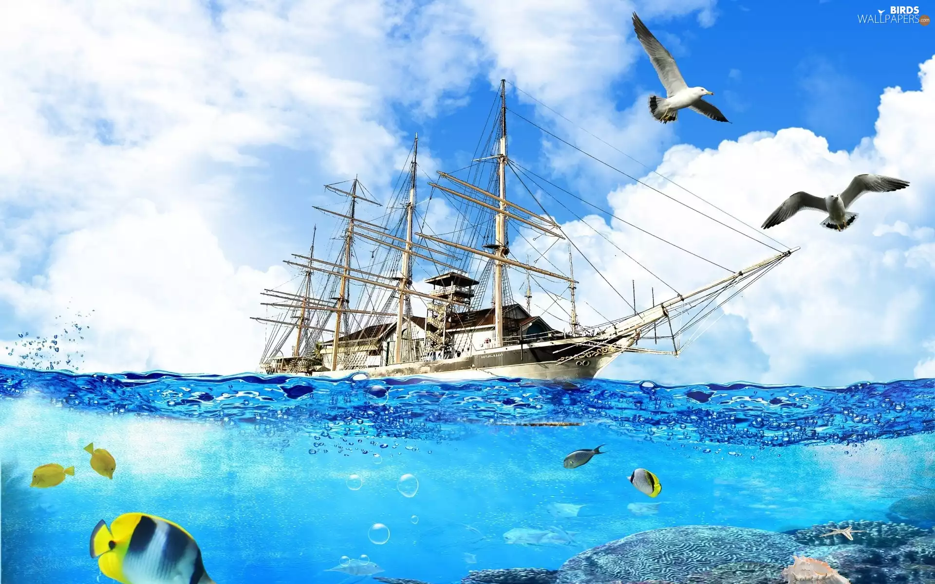 fish, water, clouds, gulls, Sky, Ship