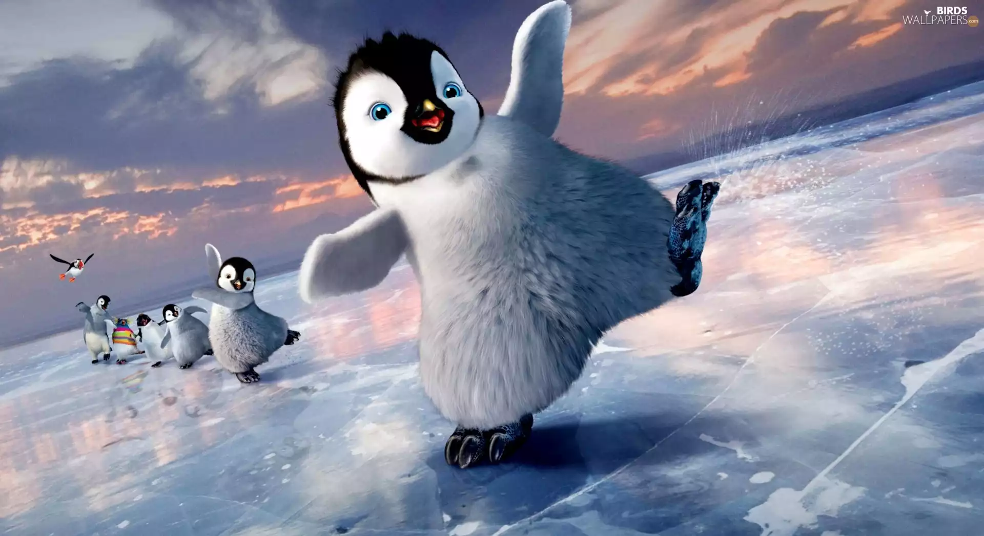 cheerful, Happy Feet, Happy Feet, penguin