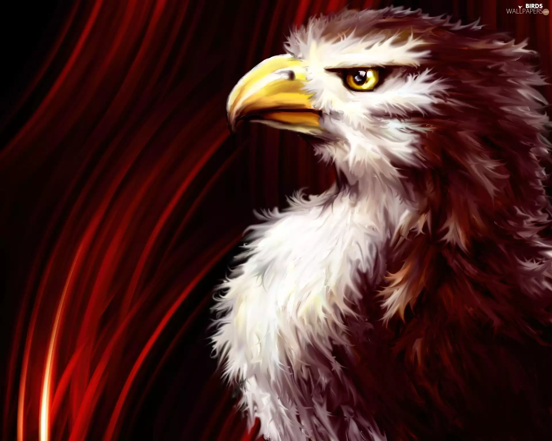 graphics, eagle, red hot
