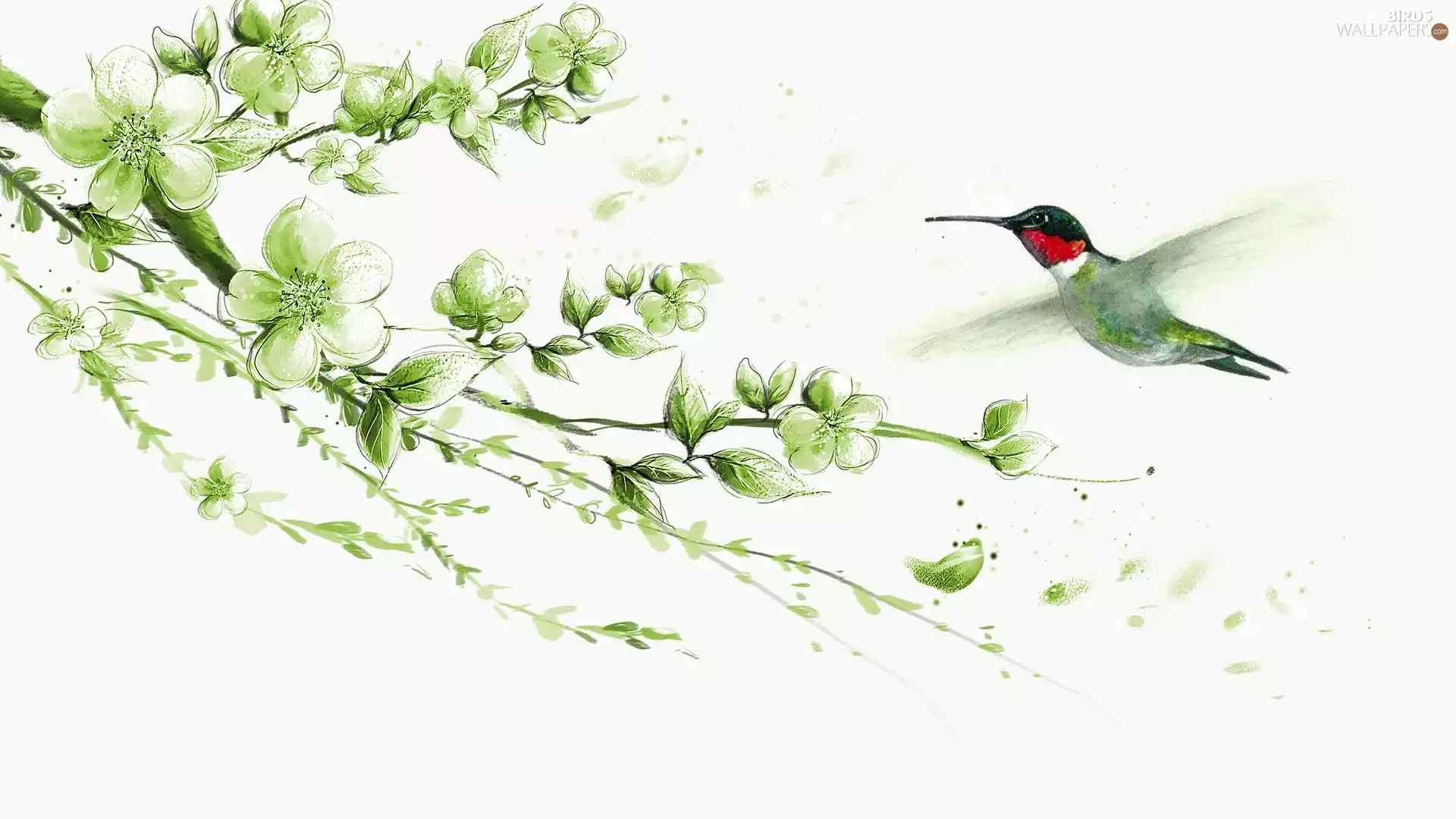 humming-bird, Flowers