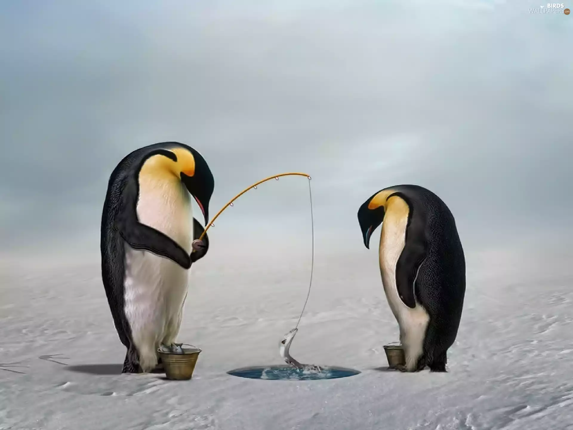 penguin, graphics, Computer, hunting