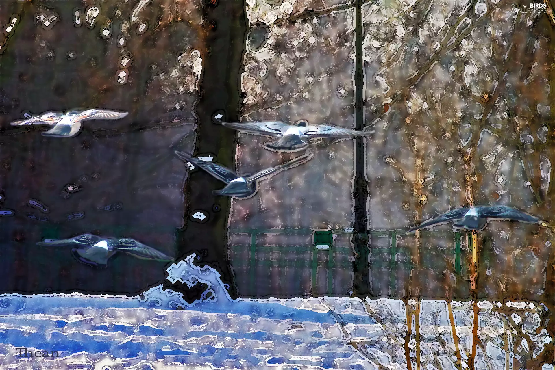 viewes, impression, Deep, trees, flying