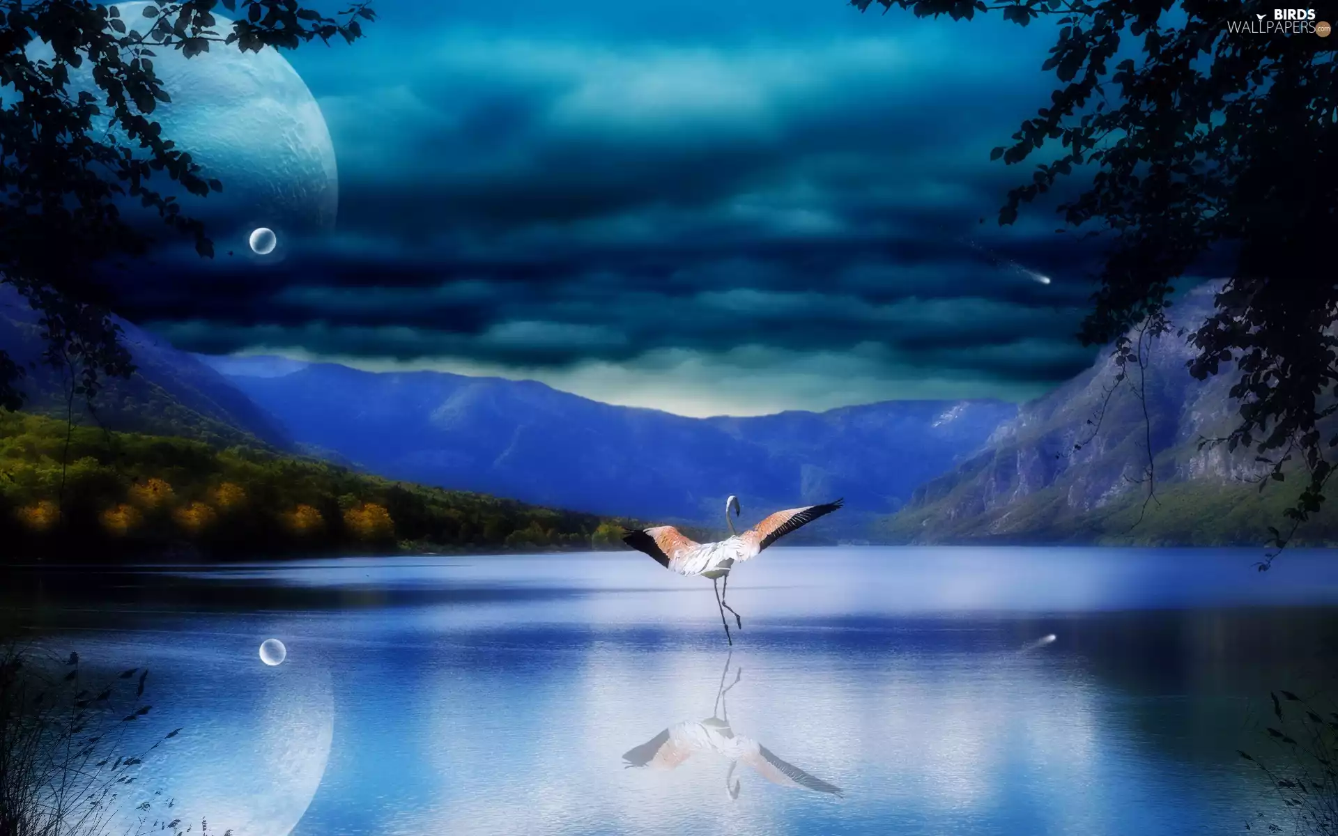 Mountains, Planet, flamingo, lake