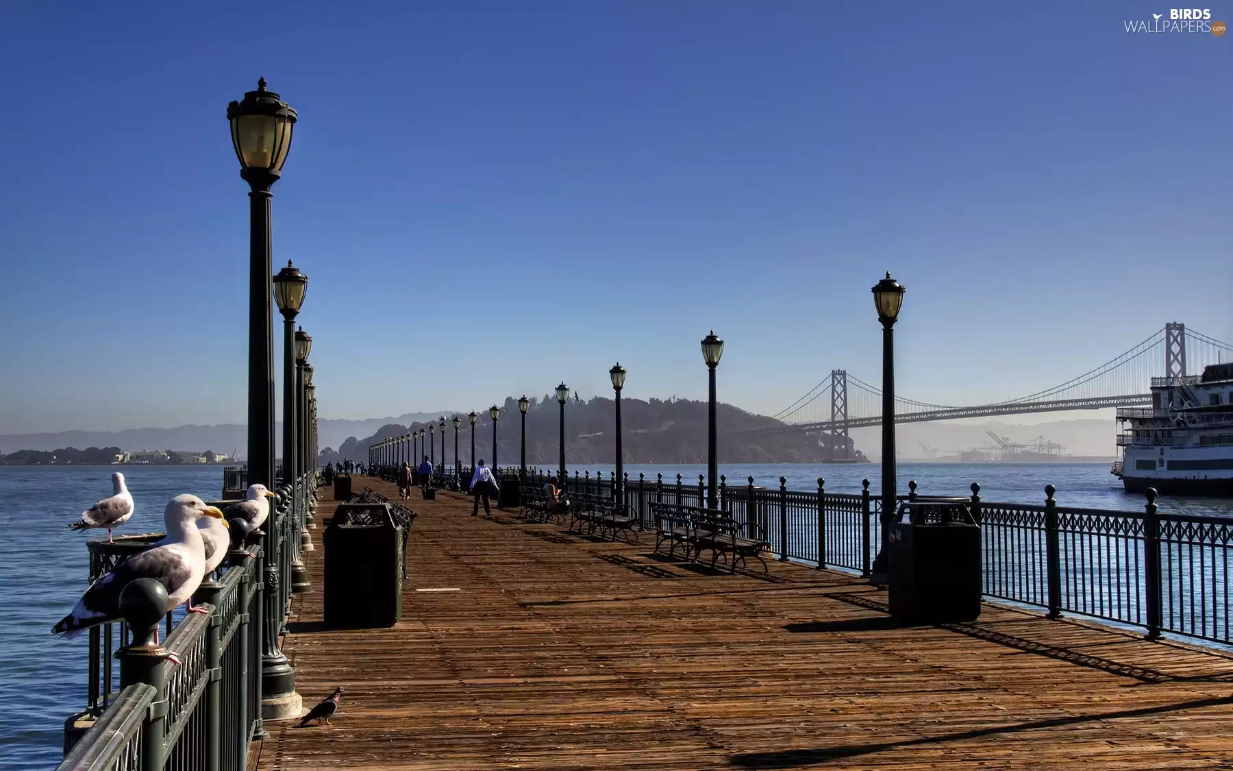 lanterns, pier, gulls