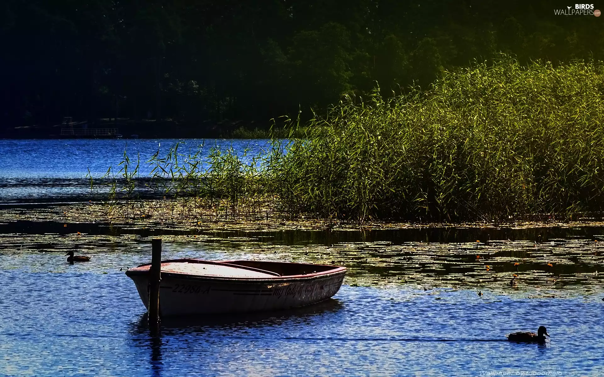 Masuria, lake, Goldopiwo