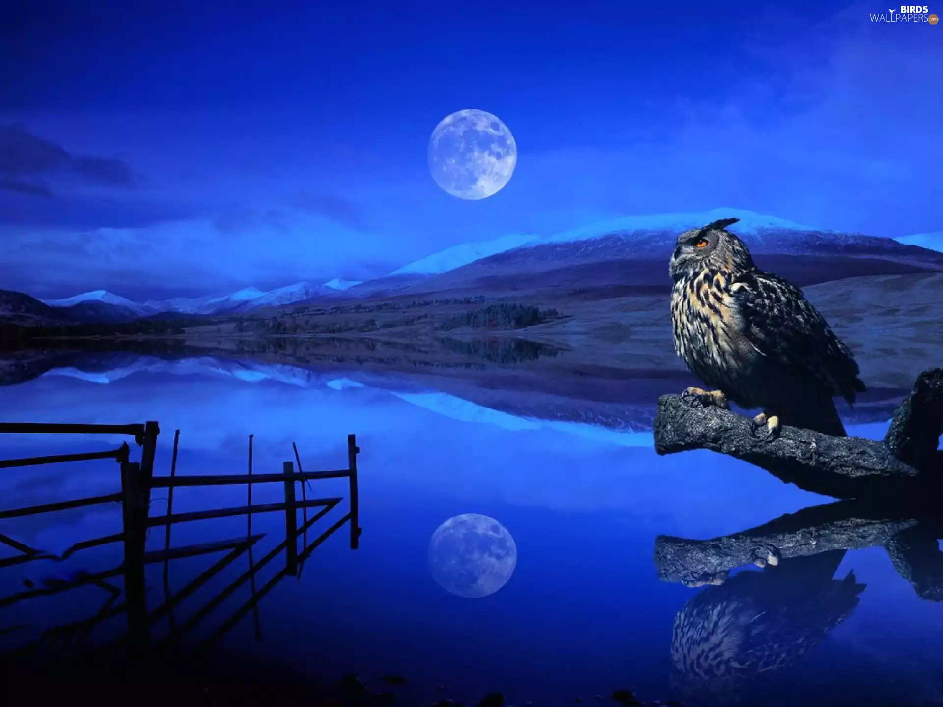 owl, water, Mountains, moon