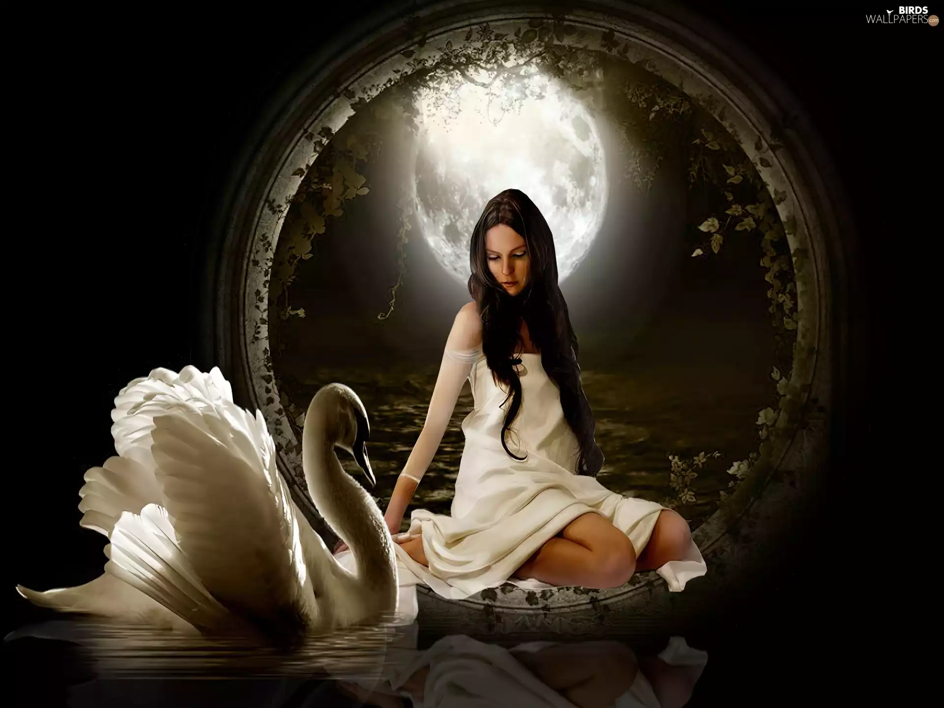moon, Women, Swans