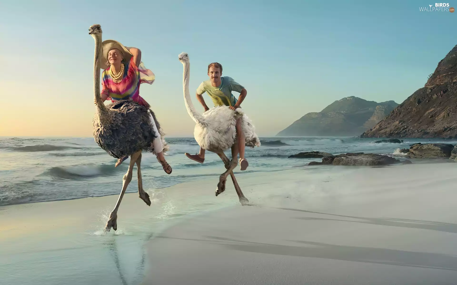 ostriches, Women, Beaches, Mountains, sea, a man