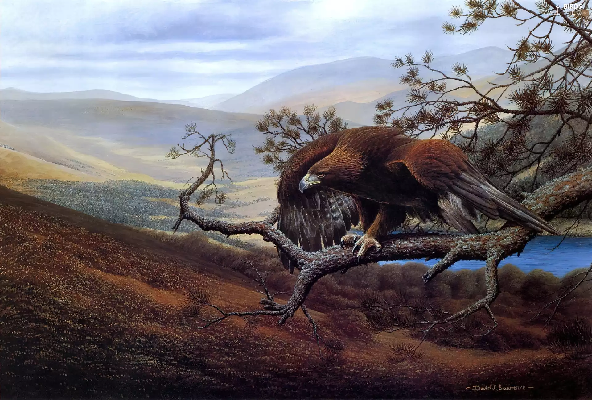 eagle, tree, Art, Mountains