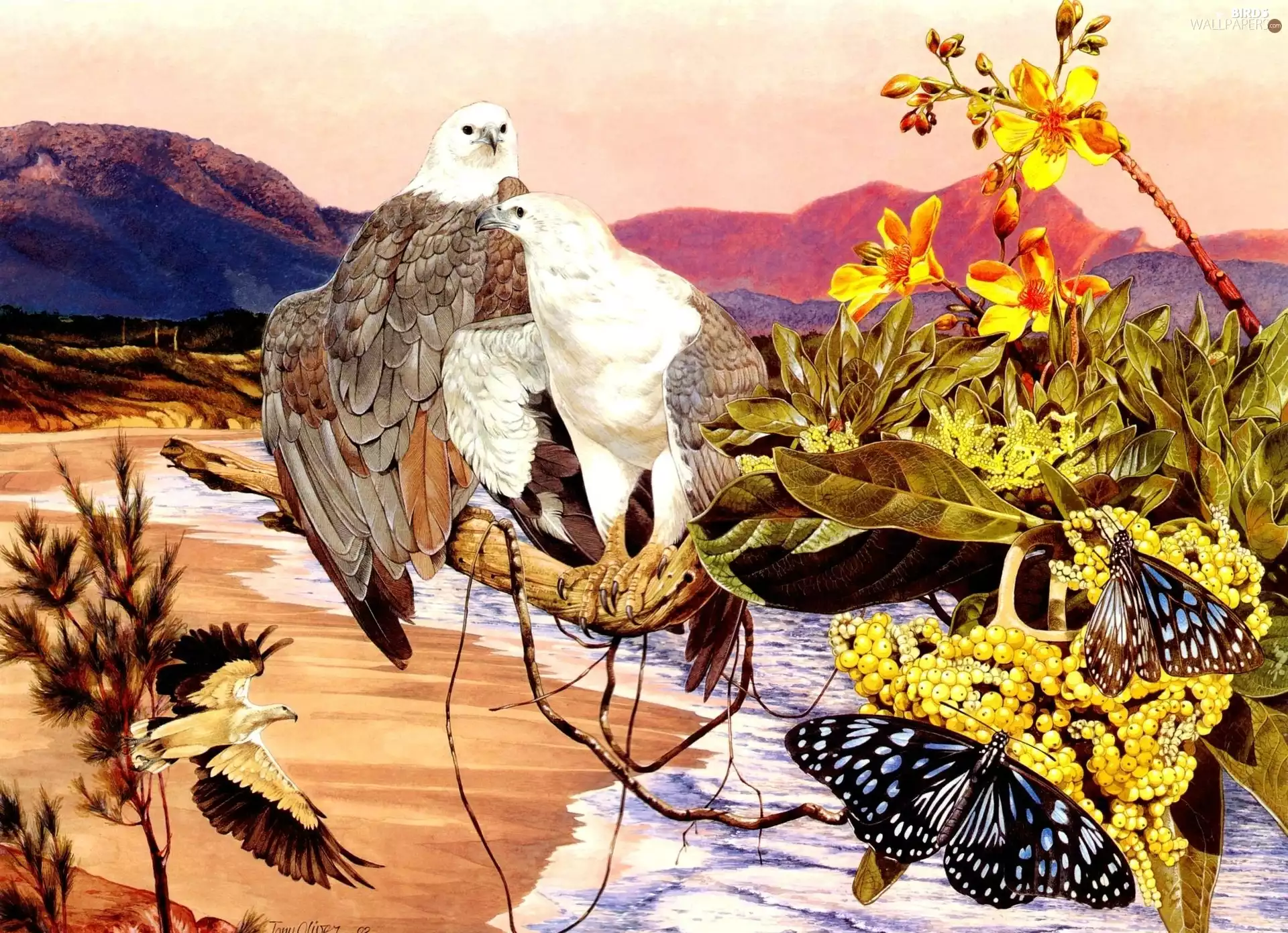 Mountains, Eagles, trees