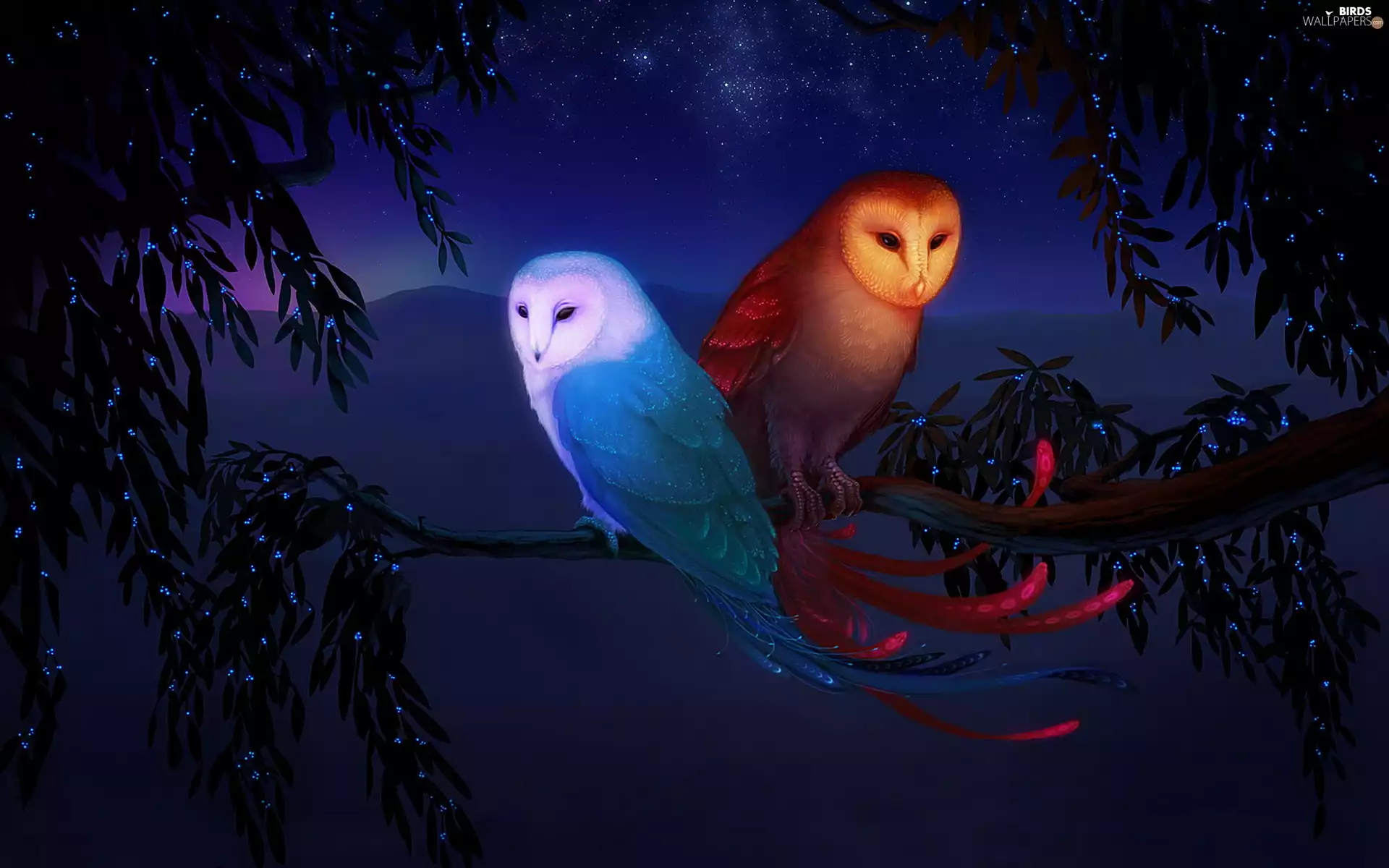 Night, Owls