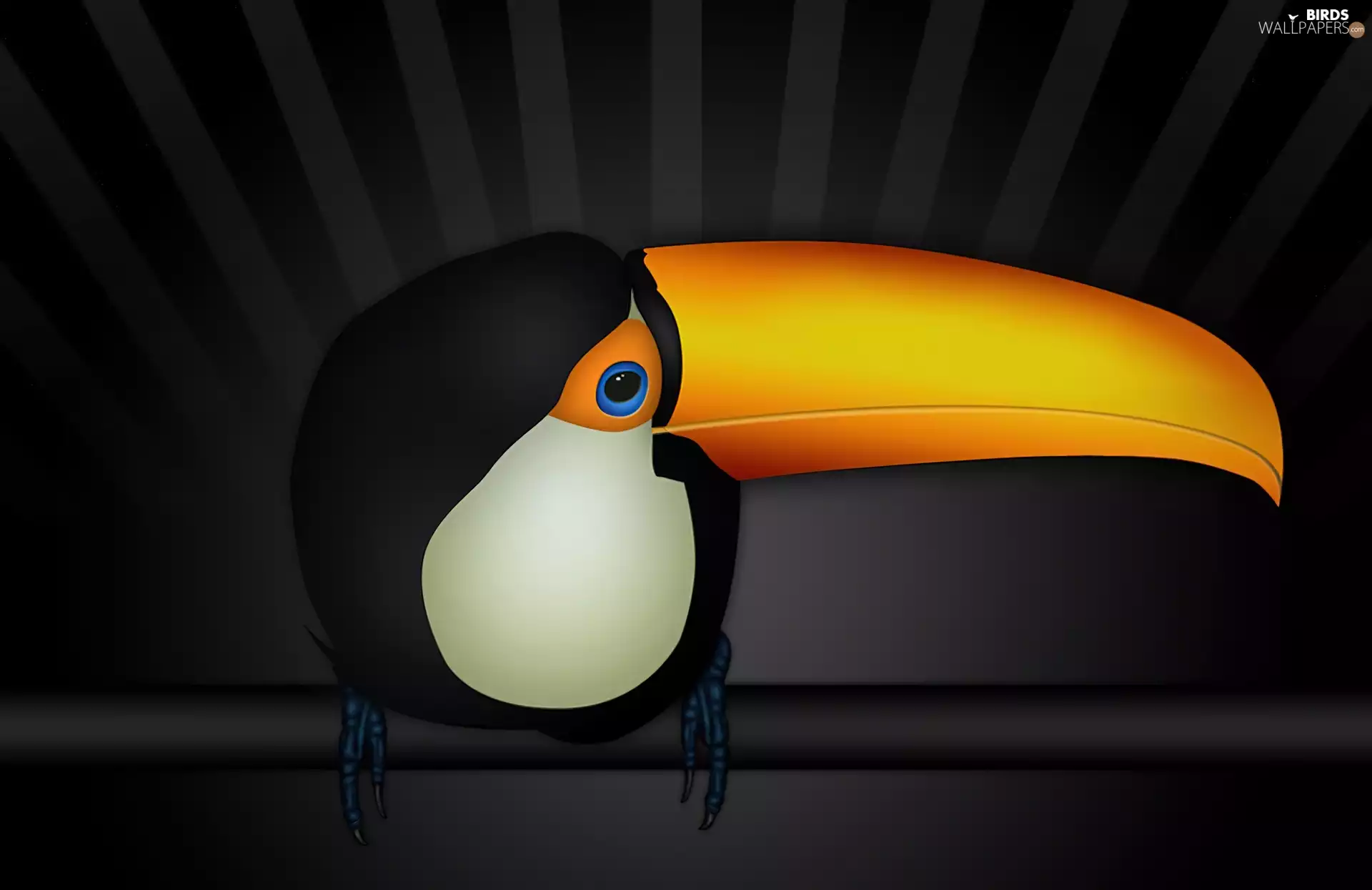 Toucan, nose, 3D Graphics, Yellow