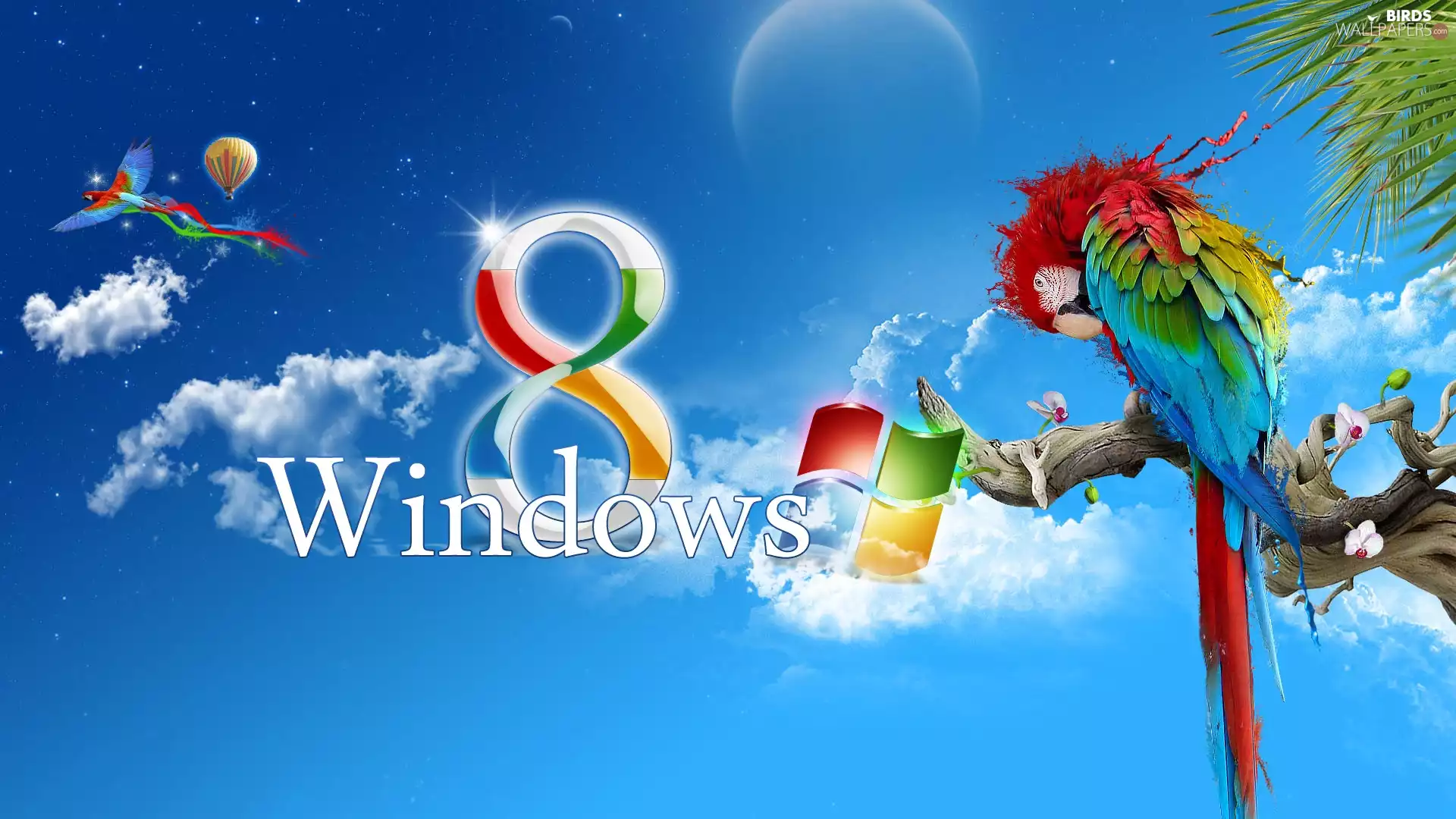 parrot, Operating System, Windows 8