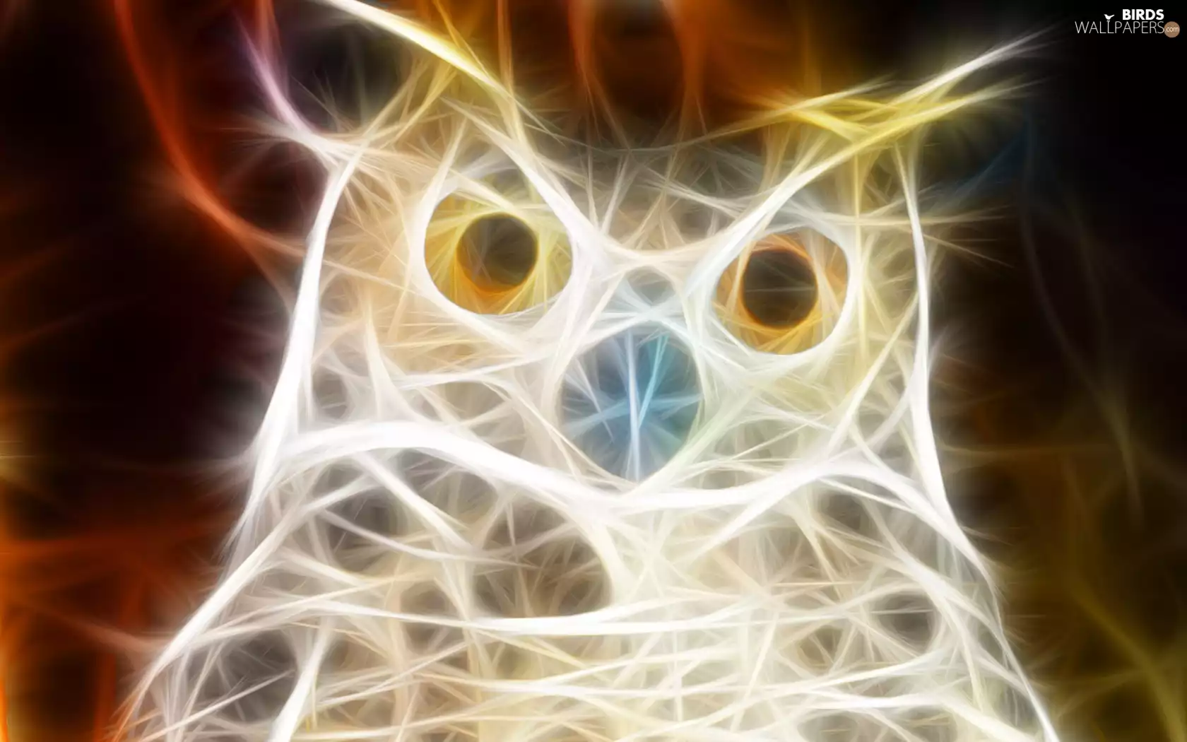 owl, 3D