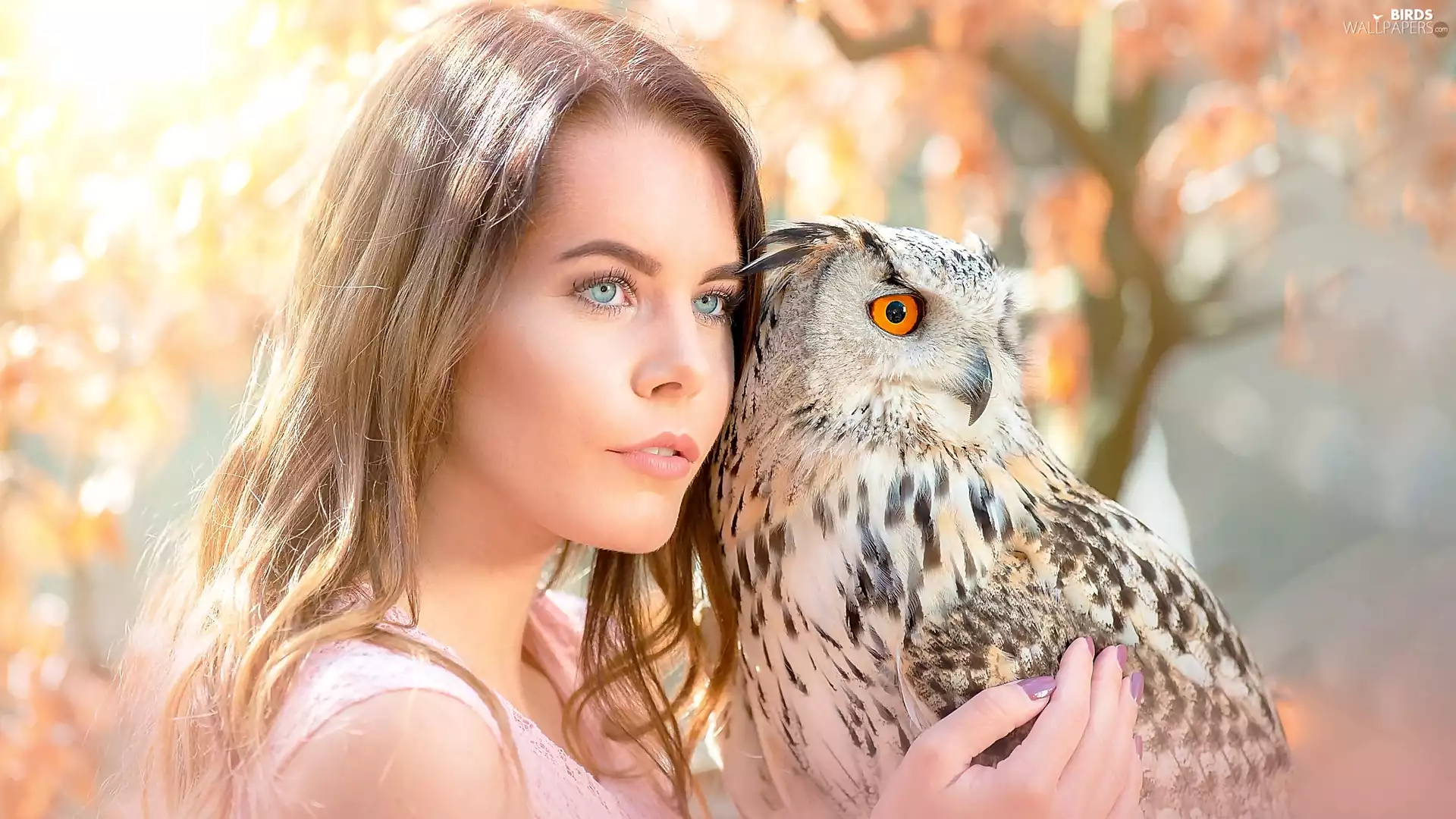 eagle-owl, Women, owl