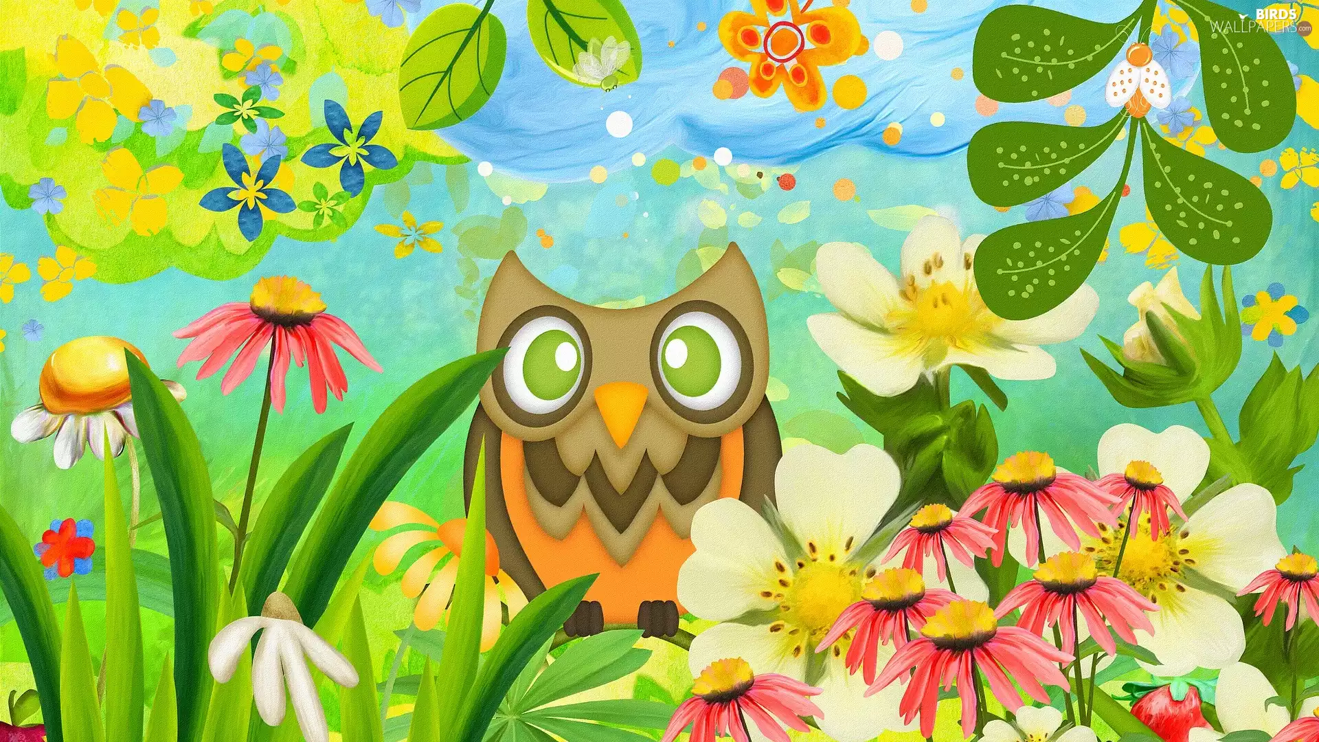 Flowers, 2D Graphics, owl
