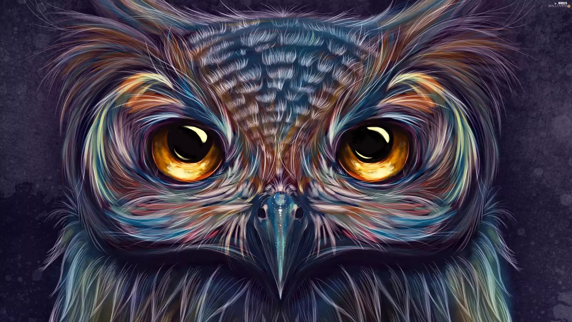 owl, Paintography