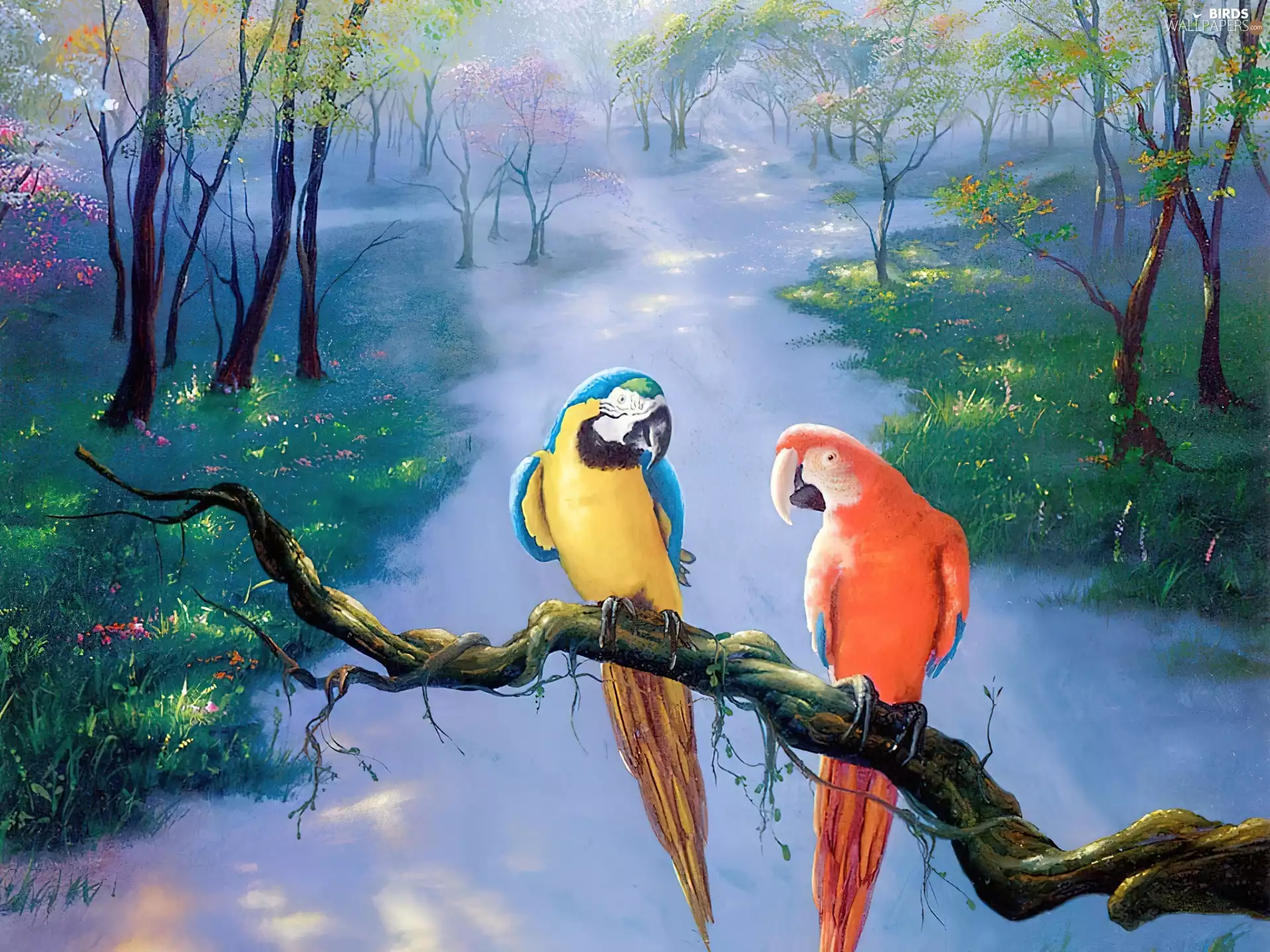 ara, painting, color, Parrots, Two