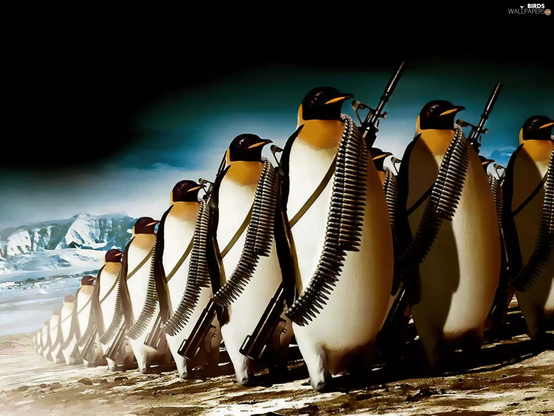 penguin, marching, armed