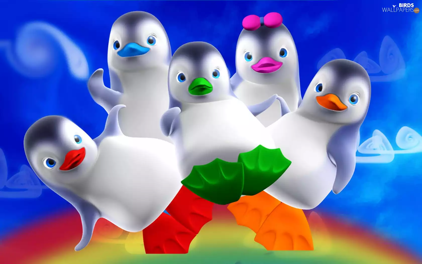 penguin, color, drawing