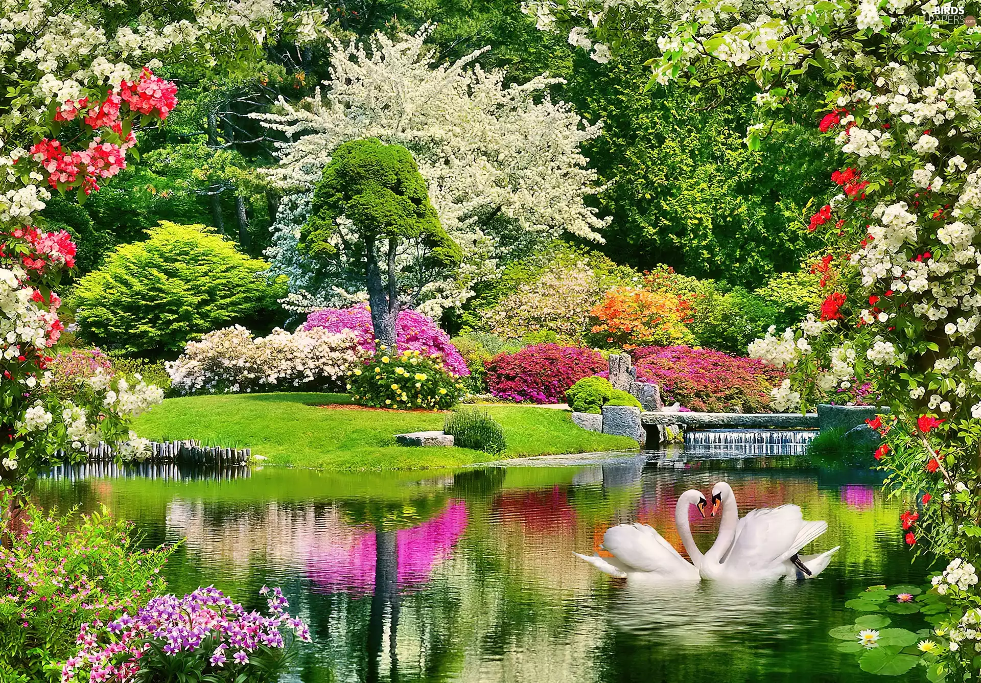 Spring, Pond - car, Swan, Park