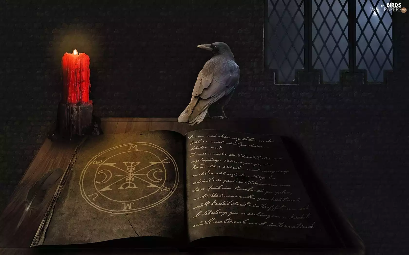 book, red hot, Candle, Crow