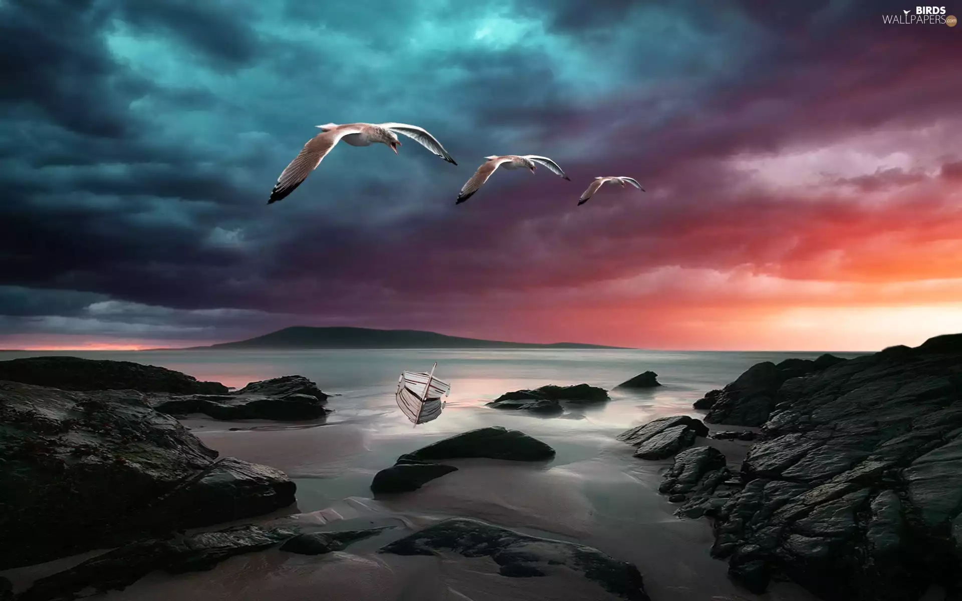 rocks, gulls, Coast