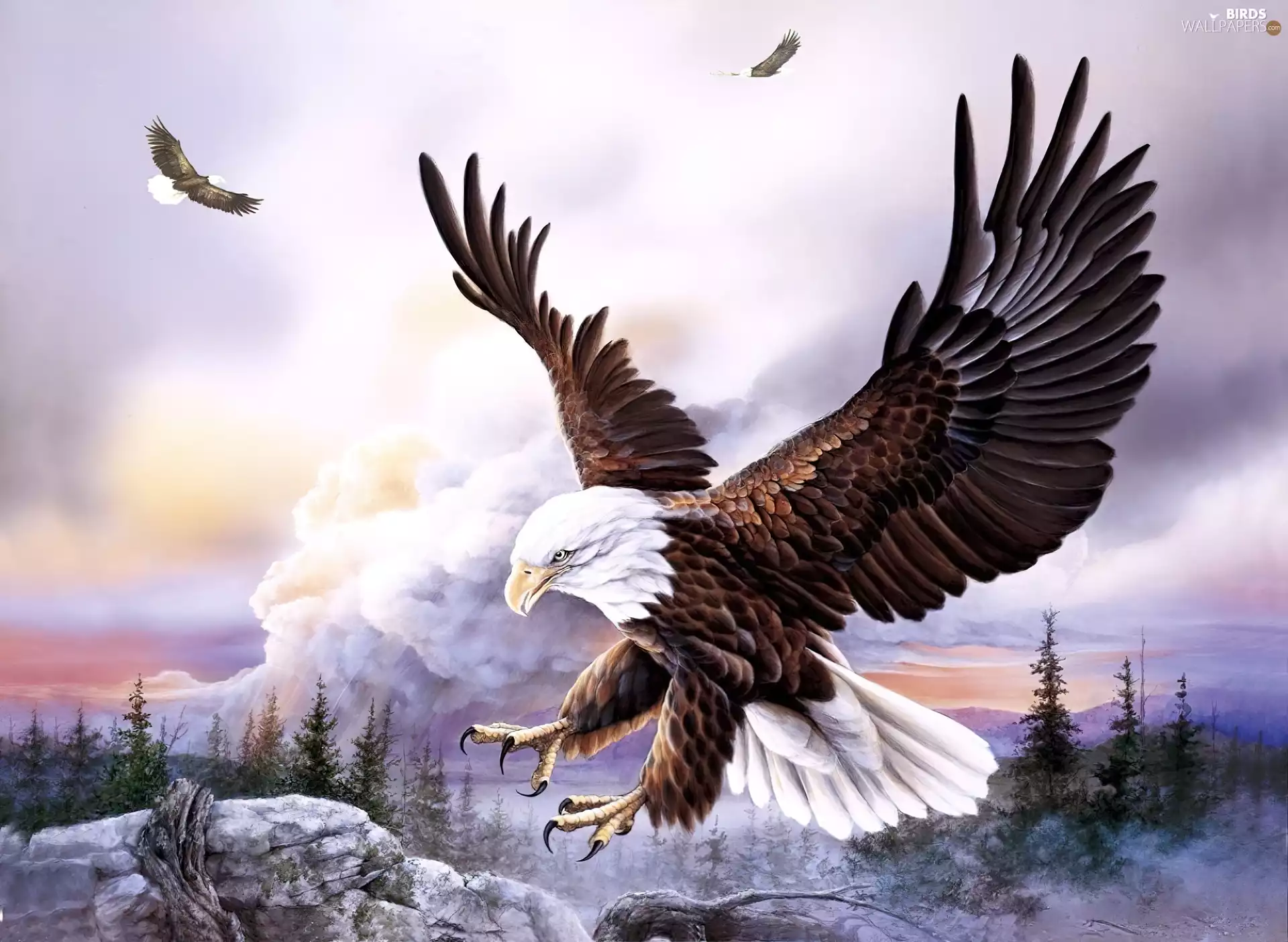 rocks, Eagles, forest