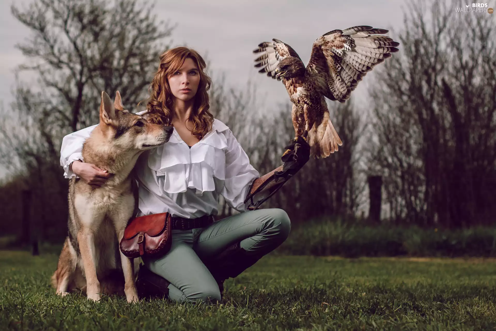 falcon, Women, German Shepherd