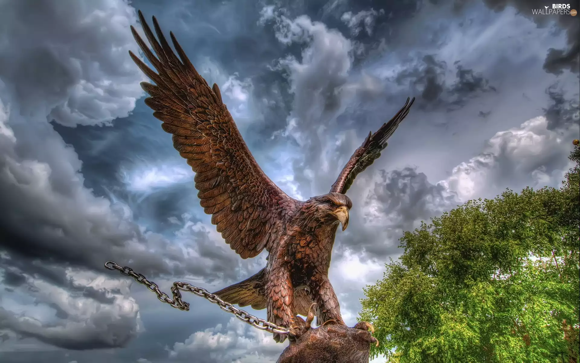 Clouds, eagle, chain, Sky