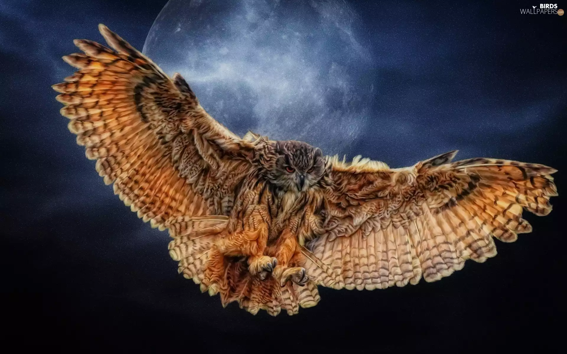Locie, eagle-owl, Sky, graphics, moon, ##