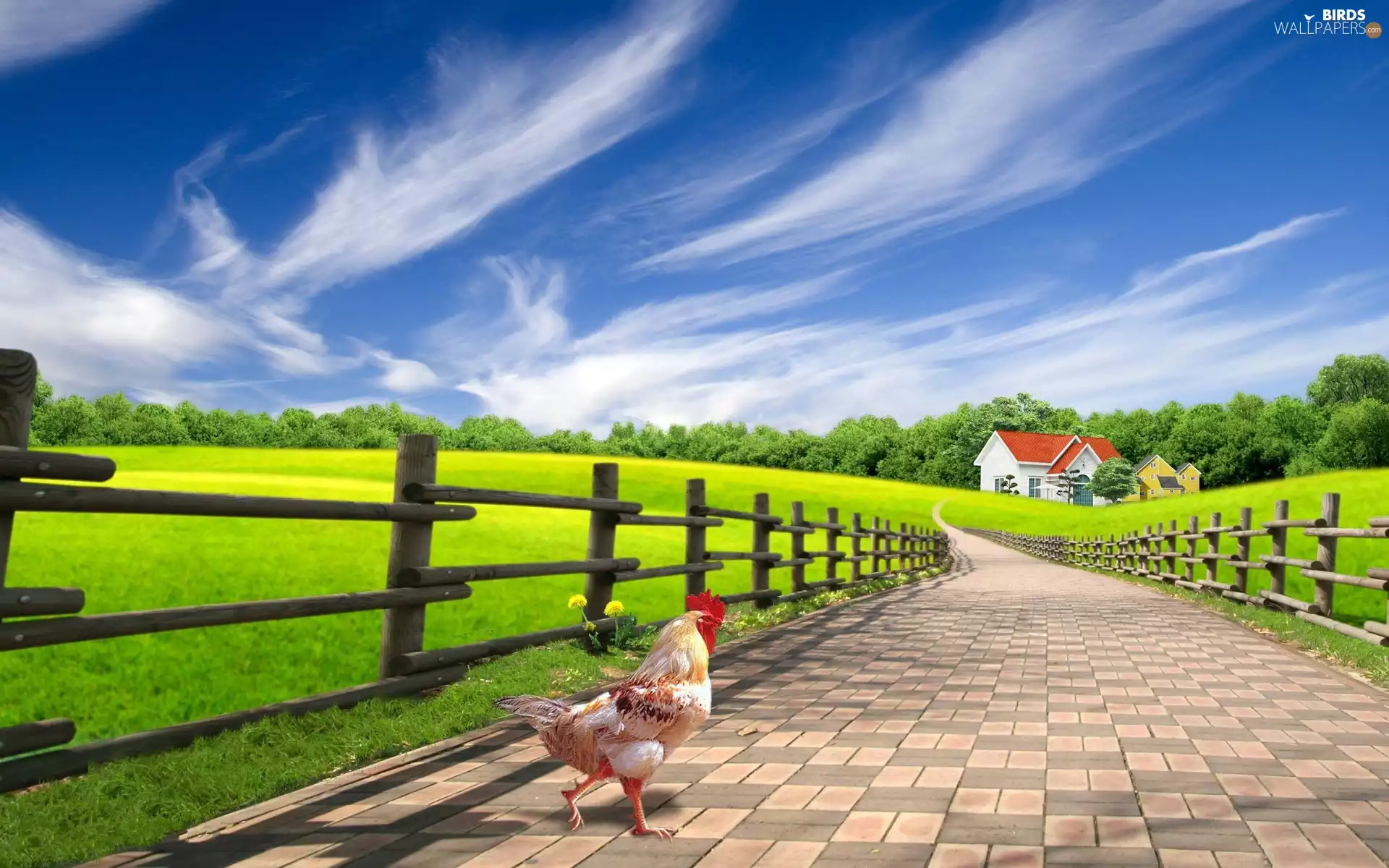 Meadow, rooster, house, Sky, fence, Way