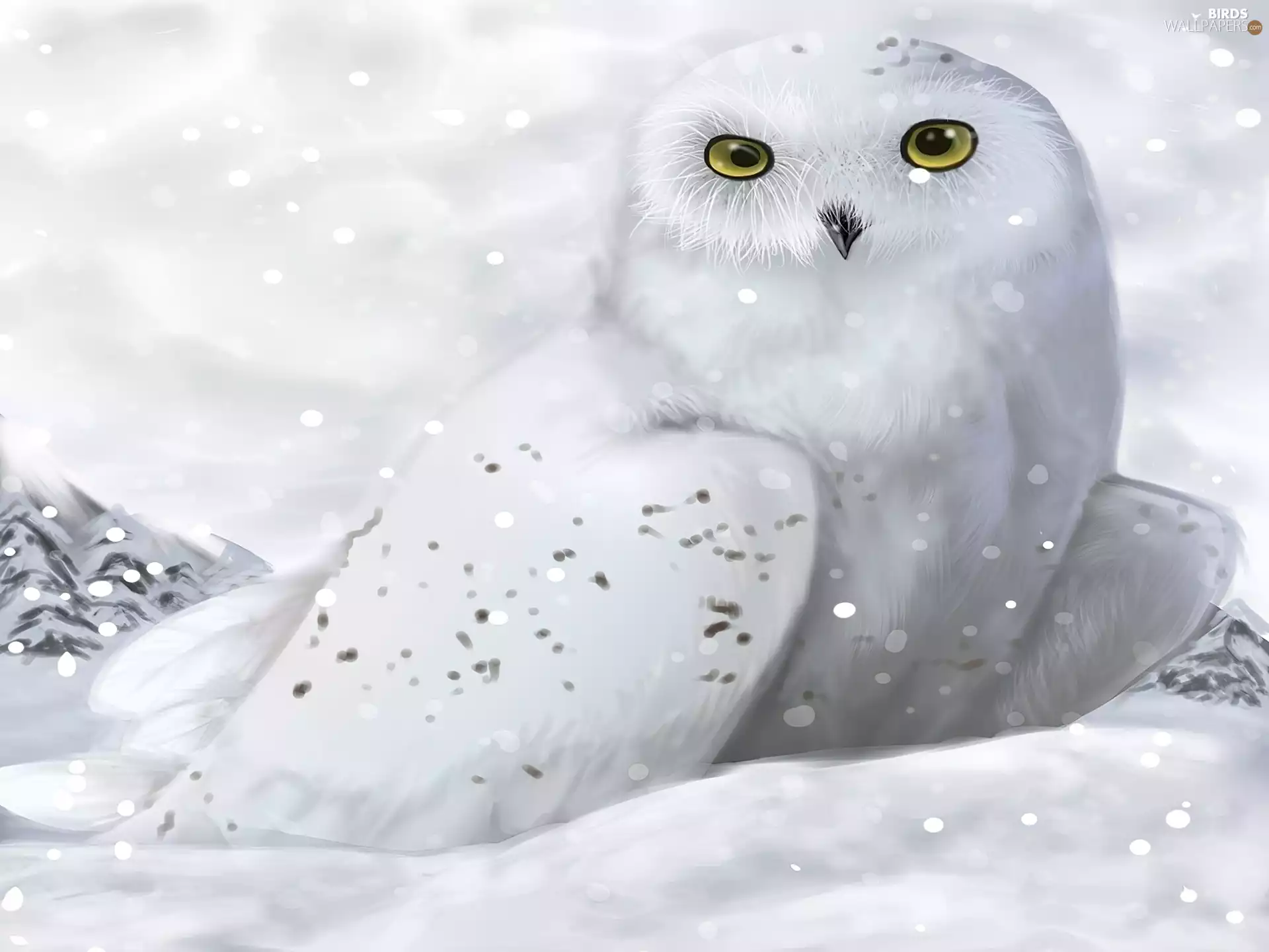 White, snow, graphics, Snowy Owl