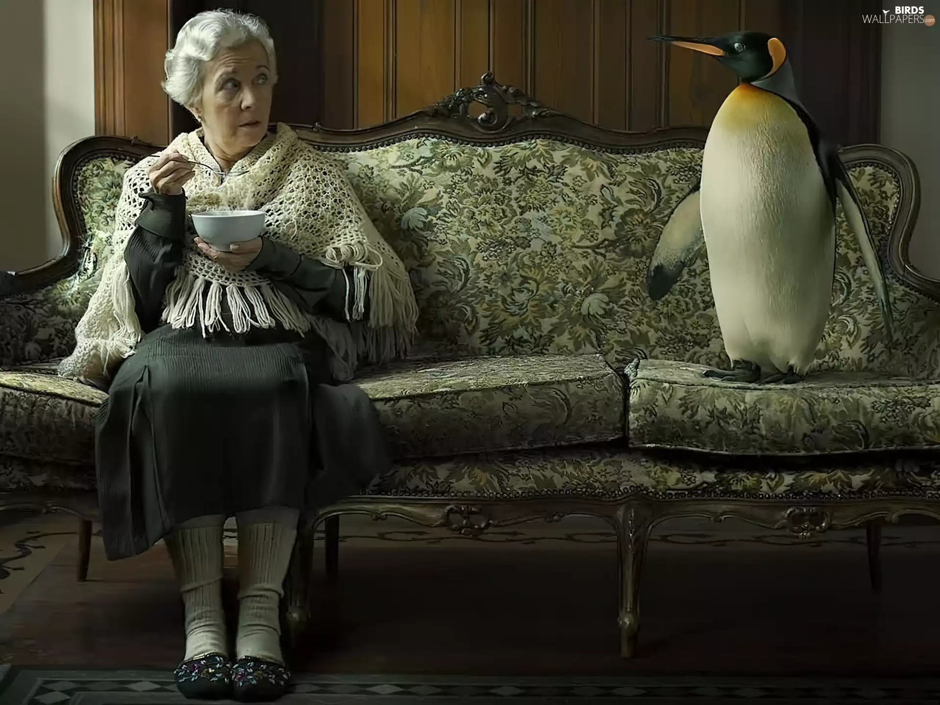 penguin, Sofa, Women, meal, Mature