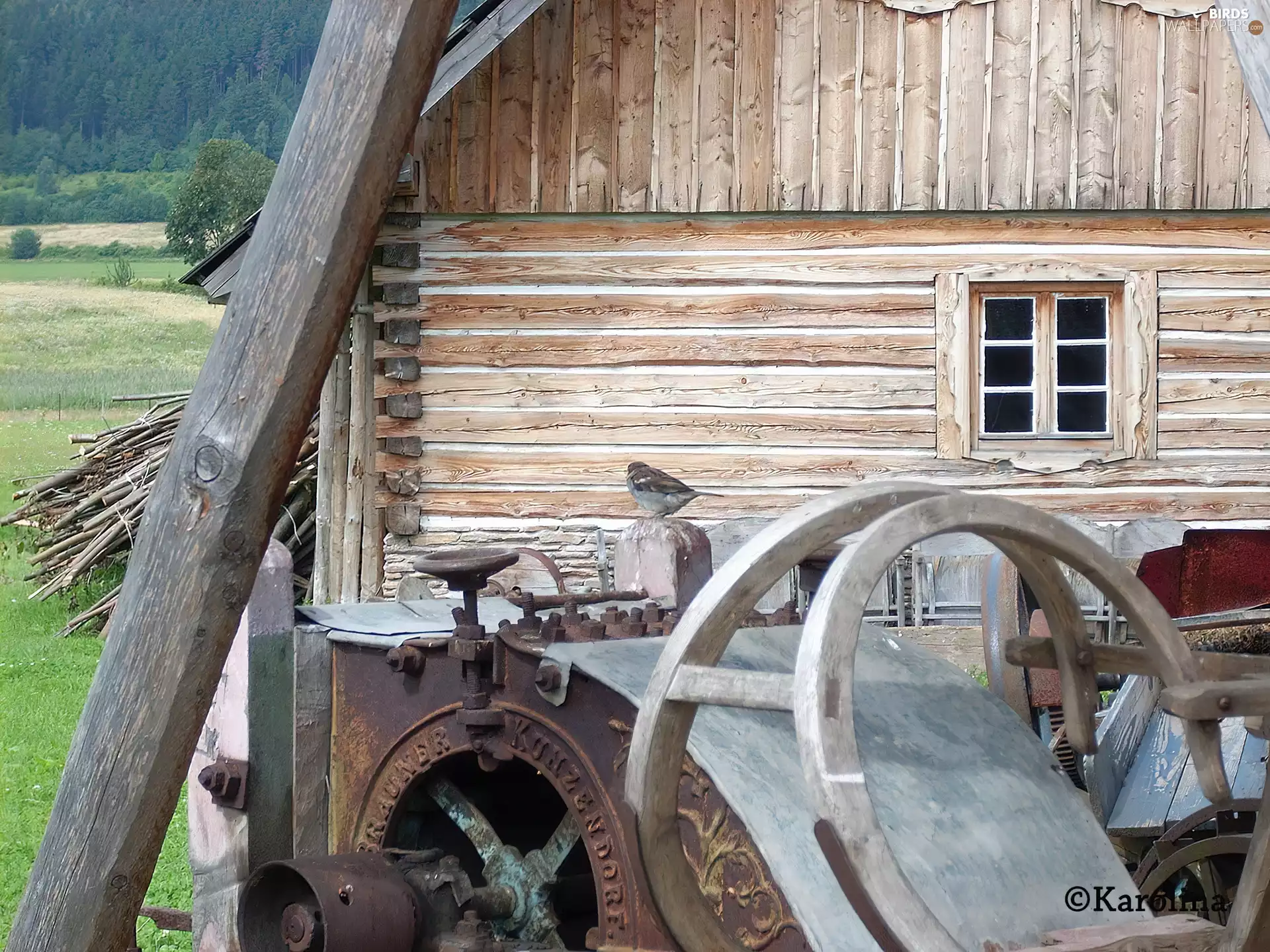 machine, Sparrow, Wooden, Cottage, country
