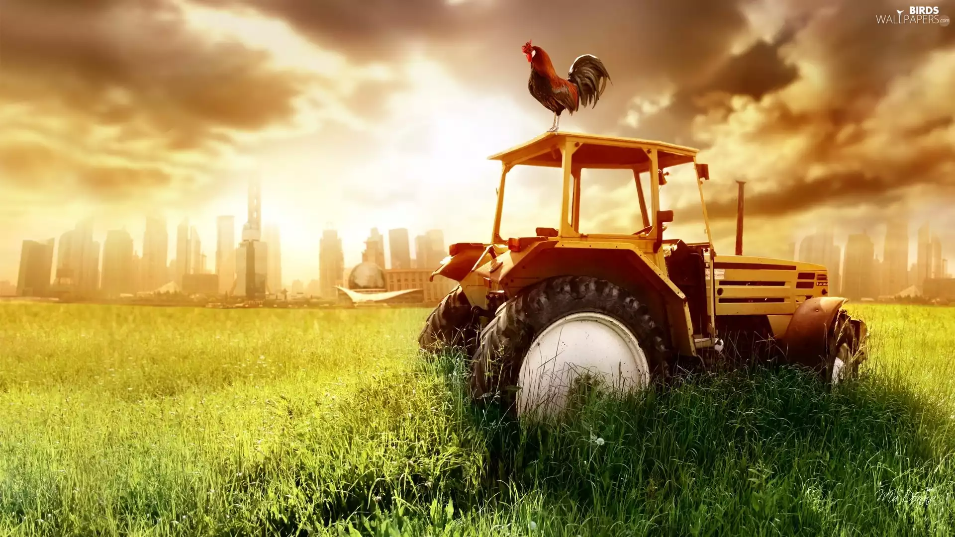 west, agrimotor, rooster, sun