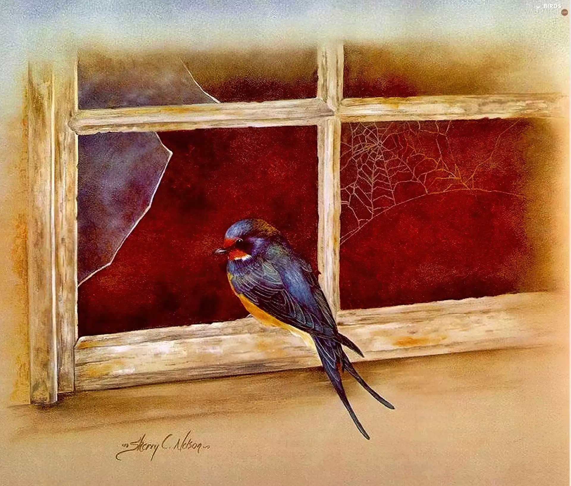 Bird, Window, copy, swallow