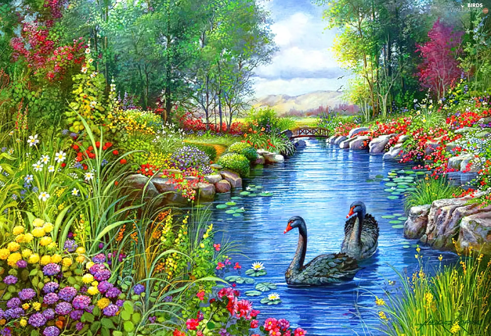 Black, Swan, color, Flowers, River