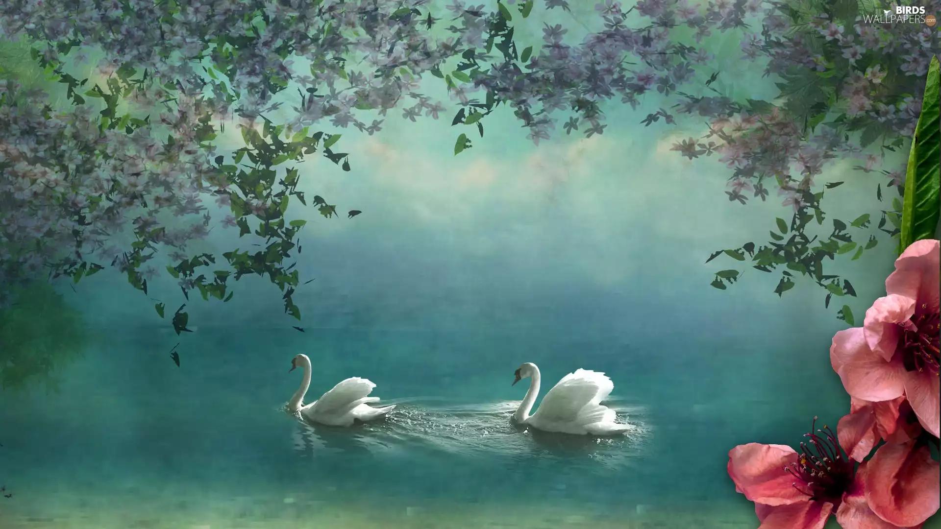 Swan, Colourfull Flowers