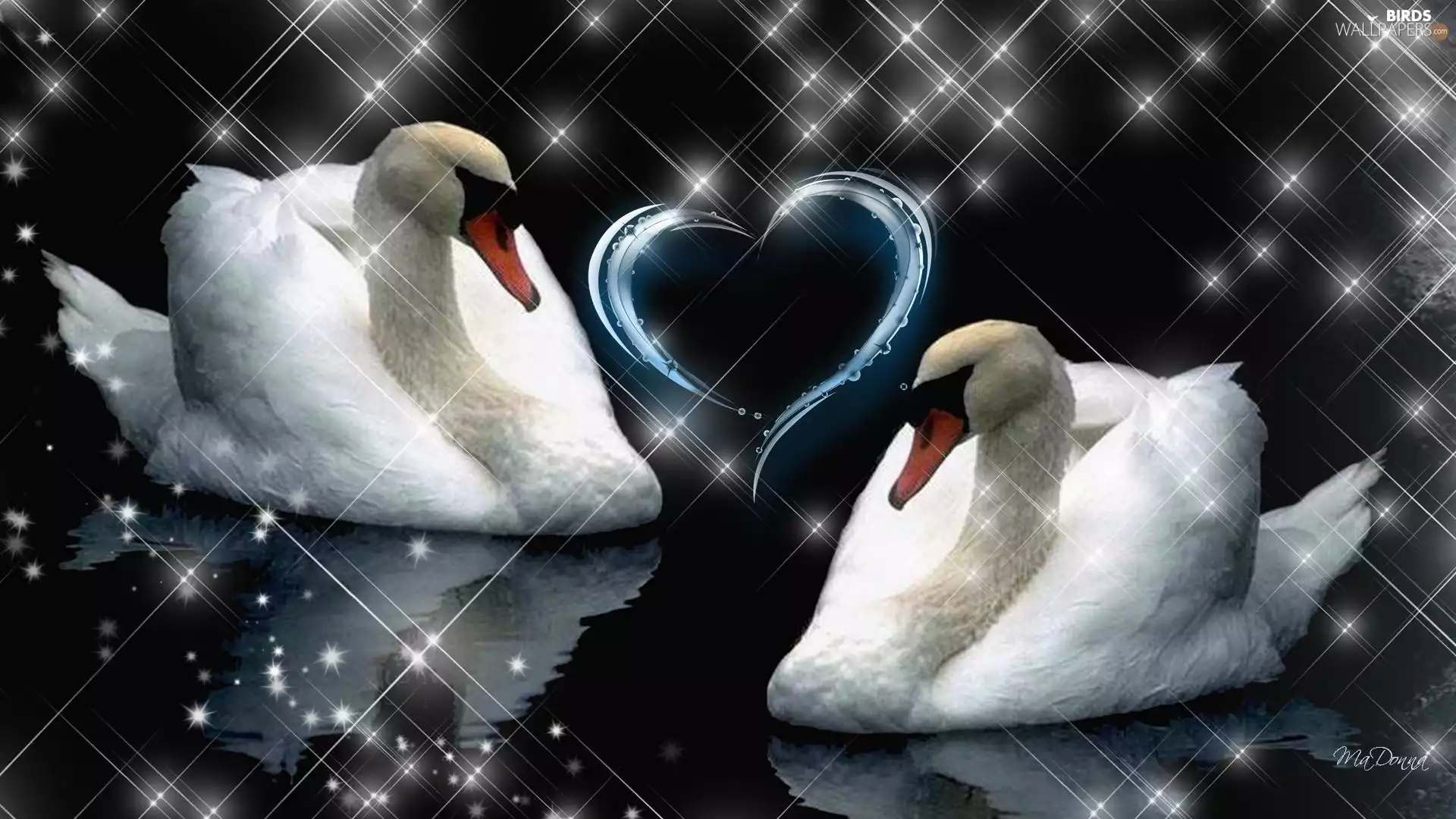Heart, Two cars, Swan