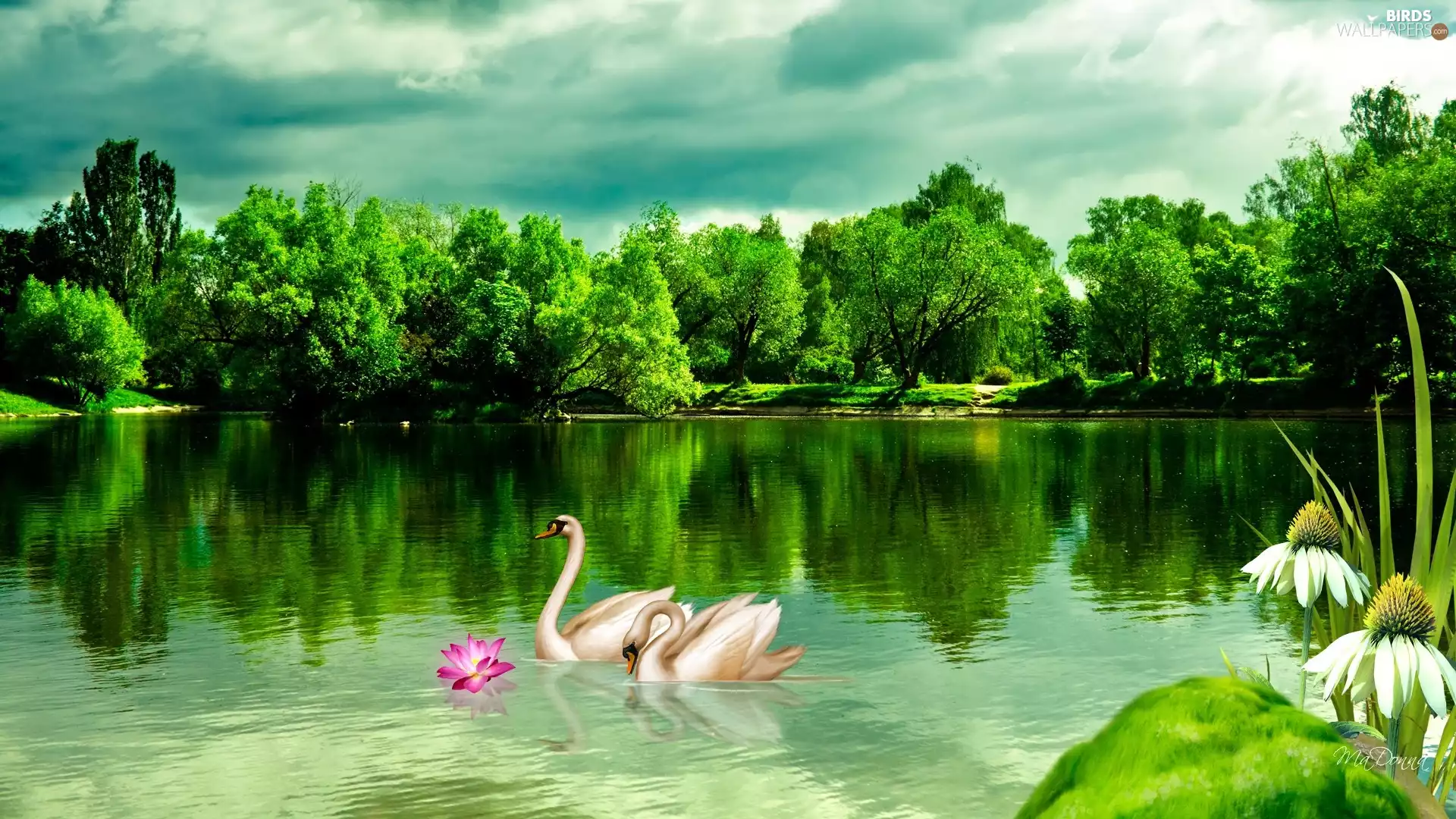 lake, trees, viewes, Swan
