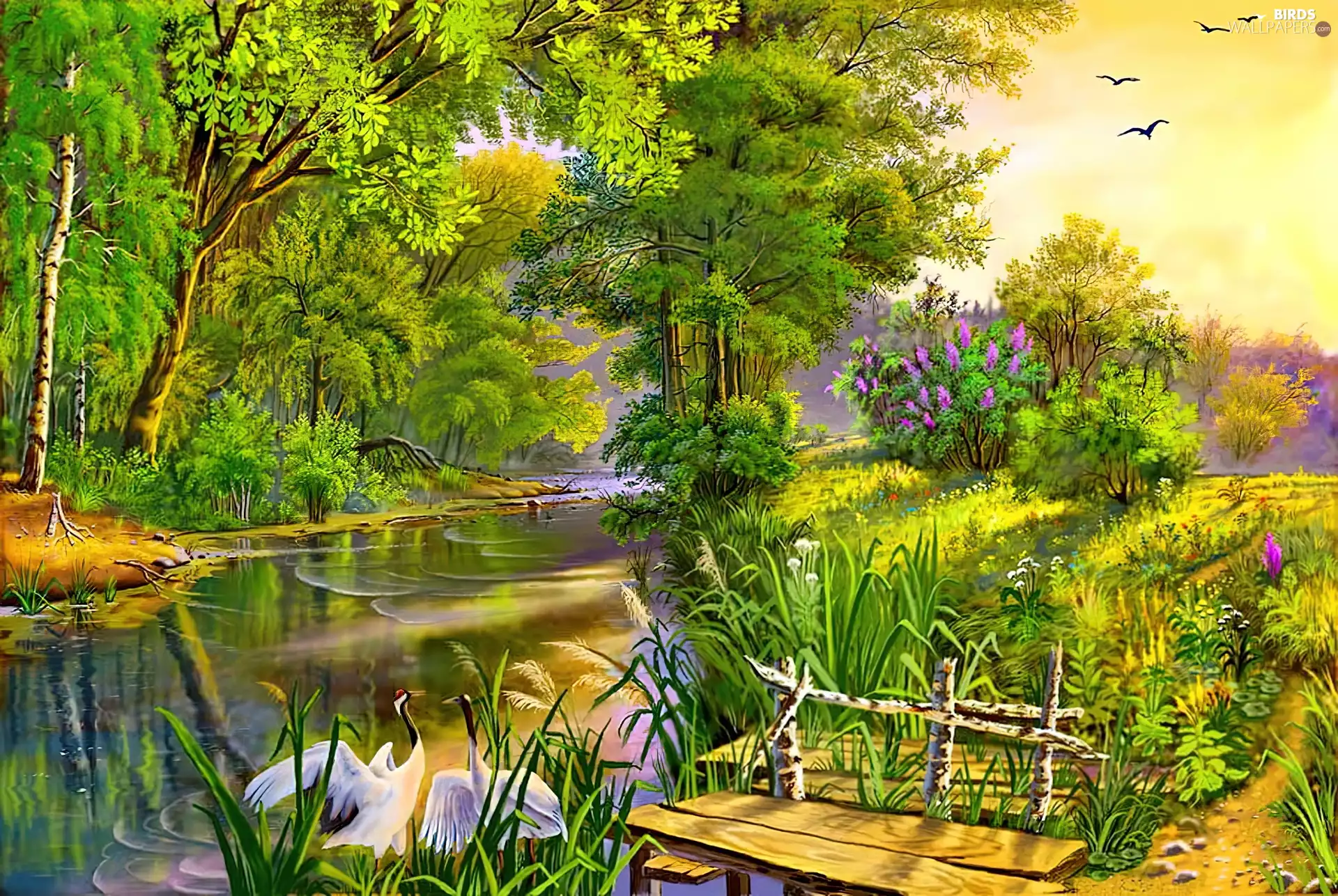 viewes, Swan, Platform, trees, summer