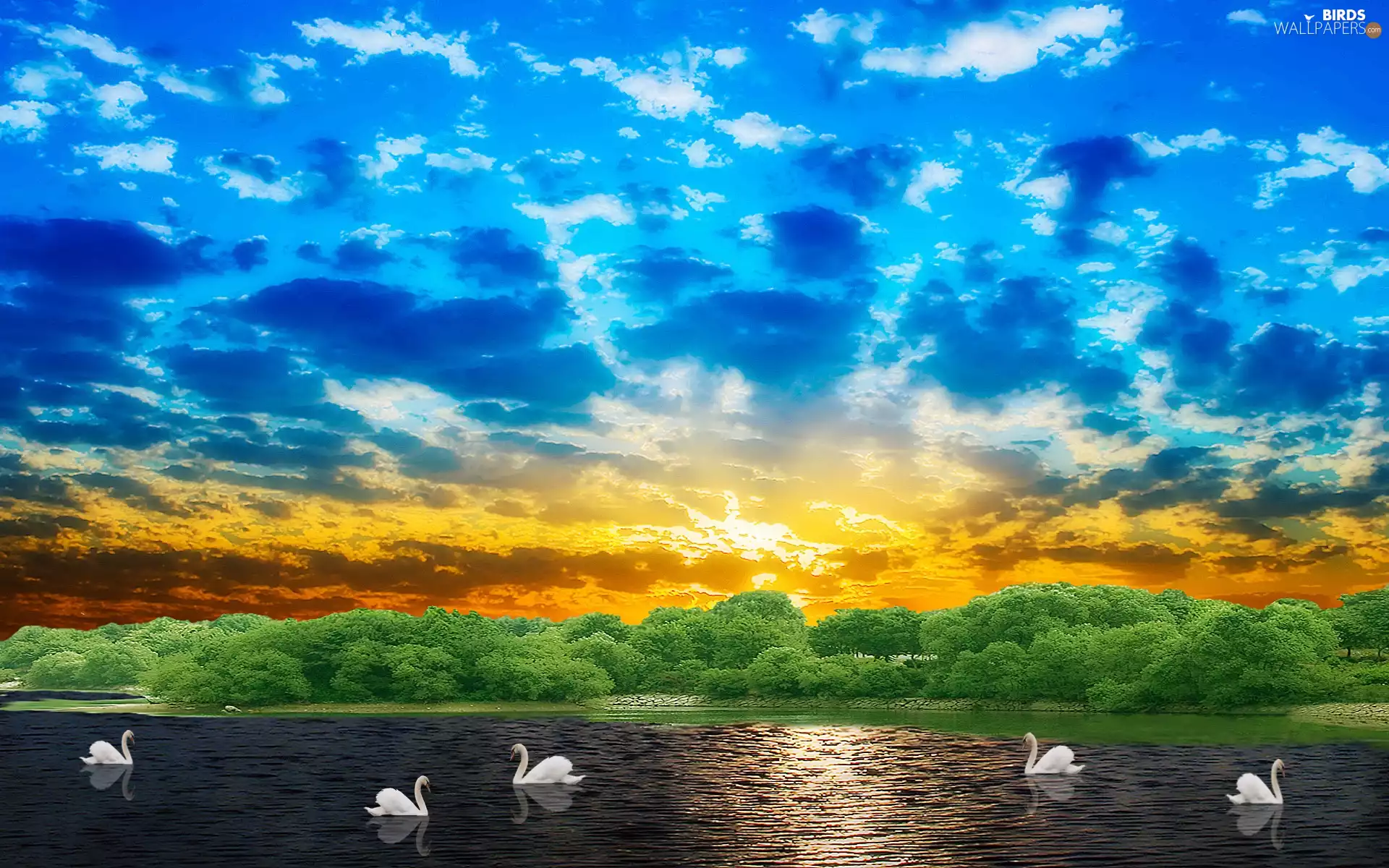 lake, Swan, sun, clouds, west